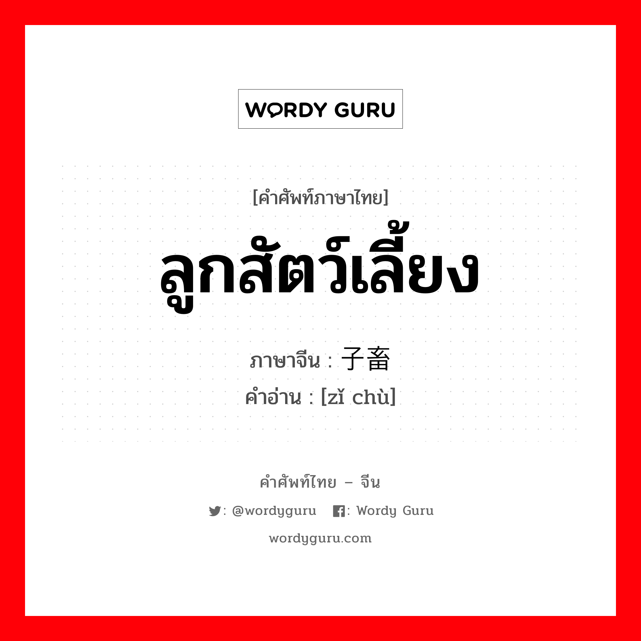 ลูกสัตว์เลี้ยง ภาษาจีนคืออะไร, คำศัพท์ภาษาไทย - จีน ลูกสัตว์เลี้ยง ภาษาจีน 子畜 คำอ่าน [zǐ chù]