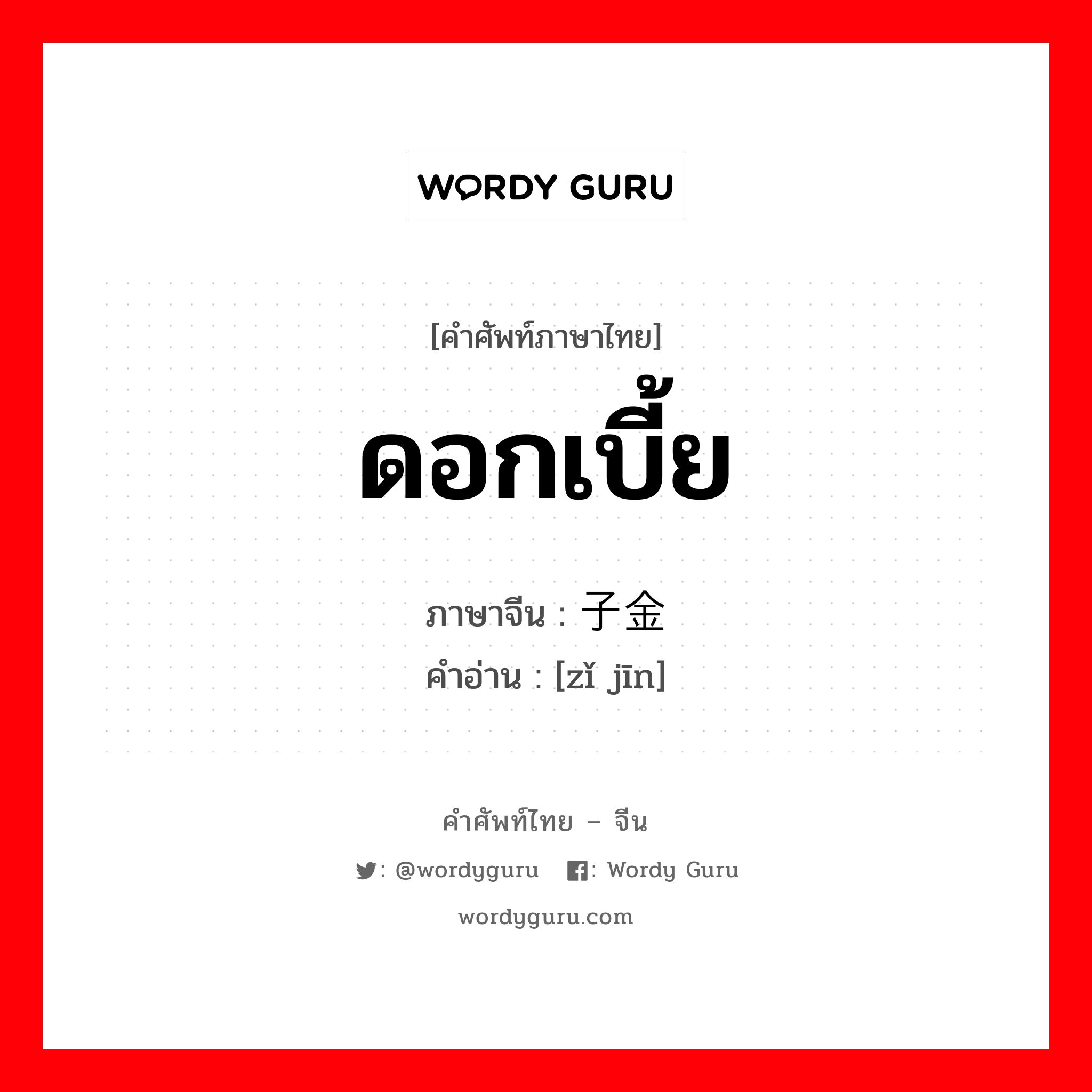 ดอกเบี้ย ภาษาจีนคืออะไร, คำศัพท์ภาษาไทย - จีน ดอกเบี้ย ภาษาจีน 子金 คำอ่าน [zǐ jīn]