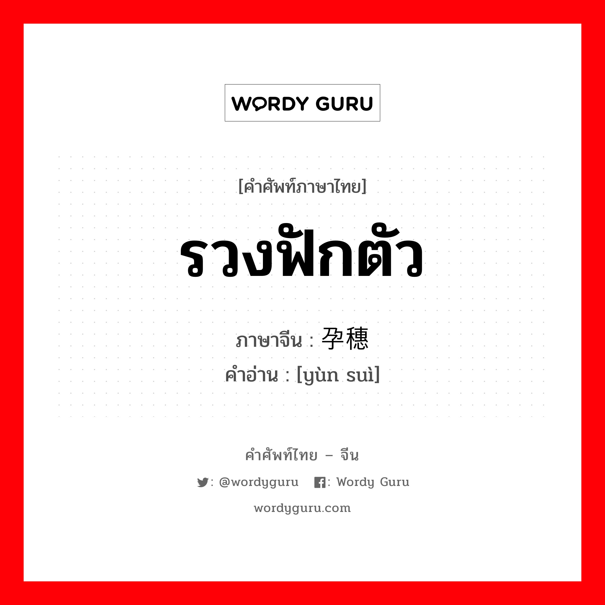 รวงฟักตัว ภาษาจีนคืออะไร, คำศัพท์ภาษาไทย - จีน รวงฟักตัว ภาษาจีน 孕穗 คำอ่าน [yùn suì]