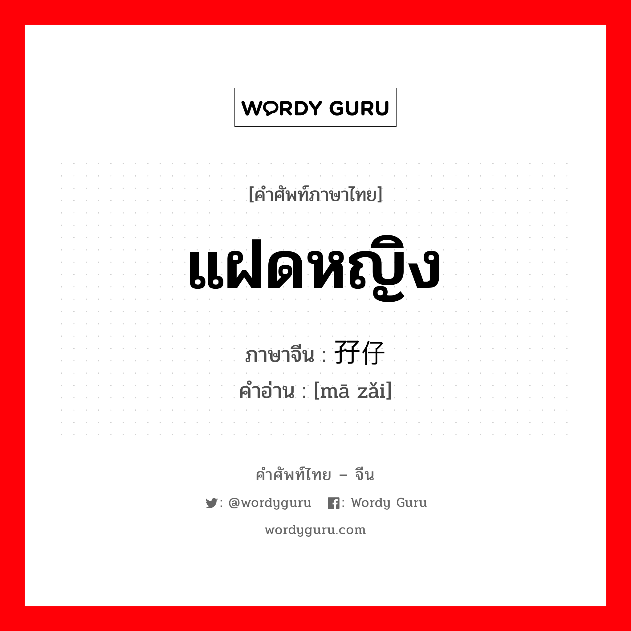 แฝดหญิง ภาษาจีนคืออะไร, คำศัพท์ภาษาไทย - จีน แฝดหญิง ภาษาจีน 孖仔 คำอ่าน [mā zǎi]