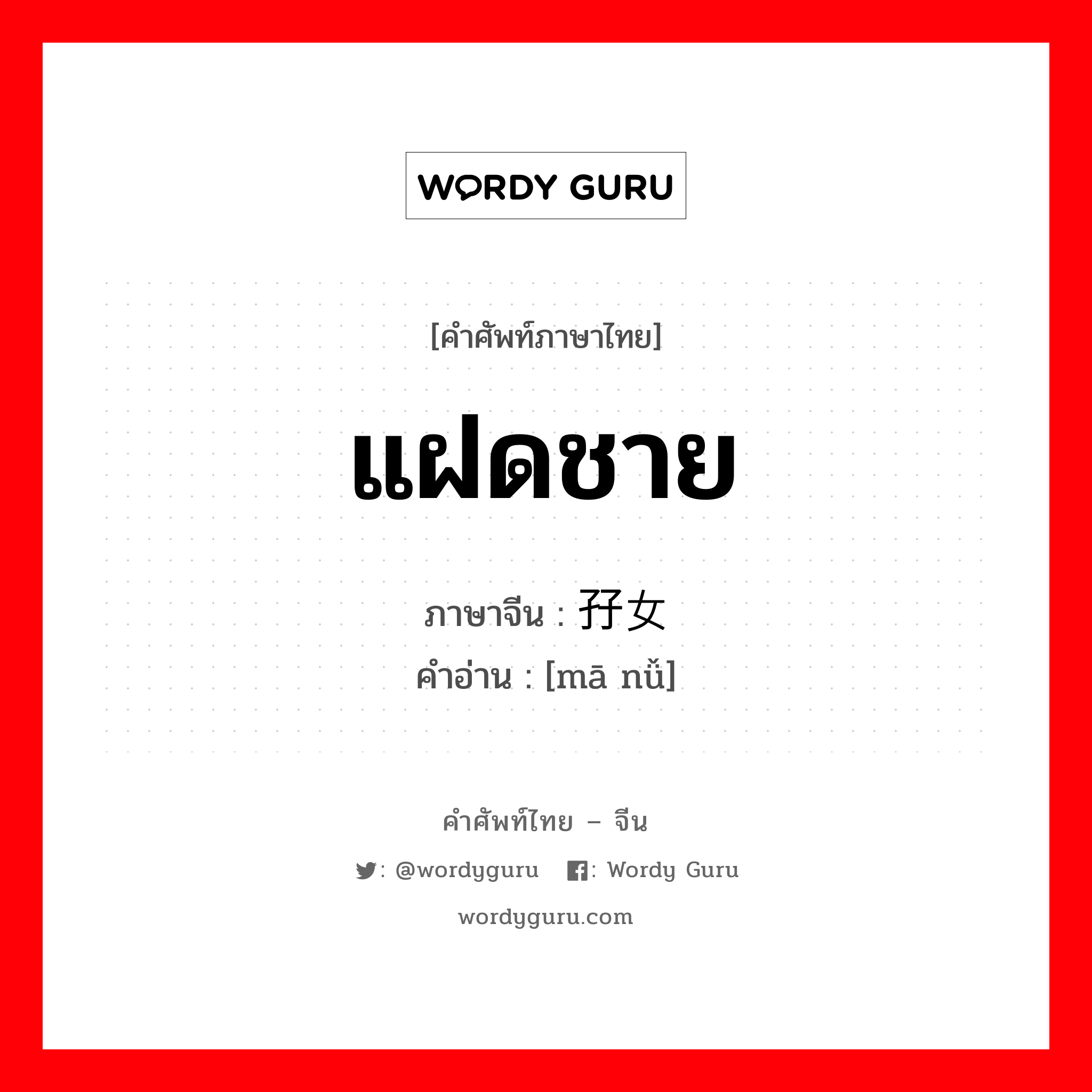 แฝดชาย ภาษาจีนคืออะไร, คำศัพท์ภาษาไทย - จีน แฝดชาย ภาษาจีน 孖女 คำอ่าน [mā nǚ]