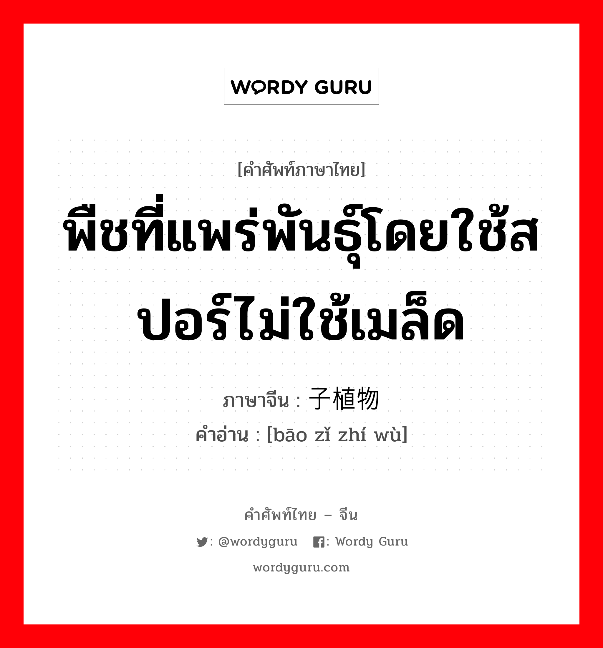 พืชที่แพร่พันธุ์โดยใช้สปอร์ไม่ใช้เมล็ด ภาษาจีนคืออะไร, คำศัพท์ภาษาไทย - จีน พืชที่แพร่พันธุ์โดยใช้สปอร์ไม่ใช้เมล็ด ภาษาจีน 孢子植物 คำอ่าน [bāo zǐ zhí wù]