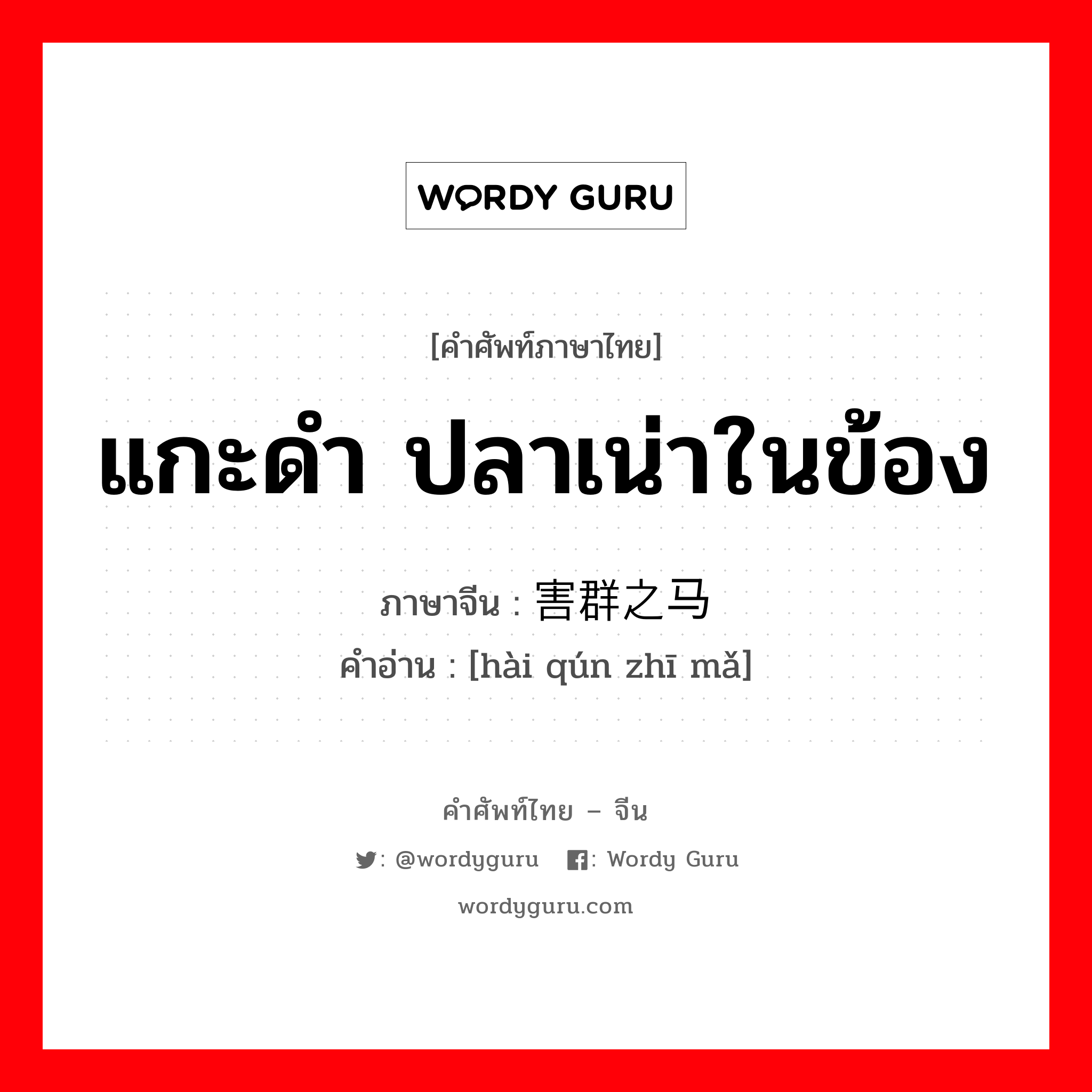 แกะดำ ปลาเน่าในข้อง ภาษาจีนคืออะไร, คำศัพท์ภาษาไทย - จีน แกะดำ ปลาเน่าในข้อง ภาษาจีน 害群之马 คำอ่าน [hài qún zhī mǎ]