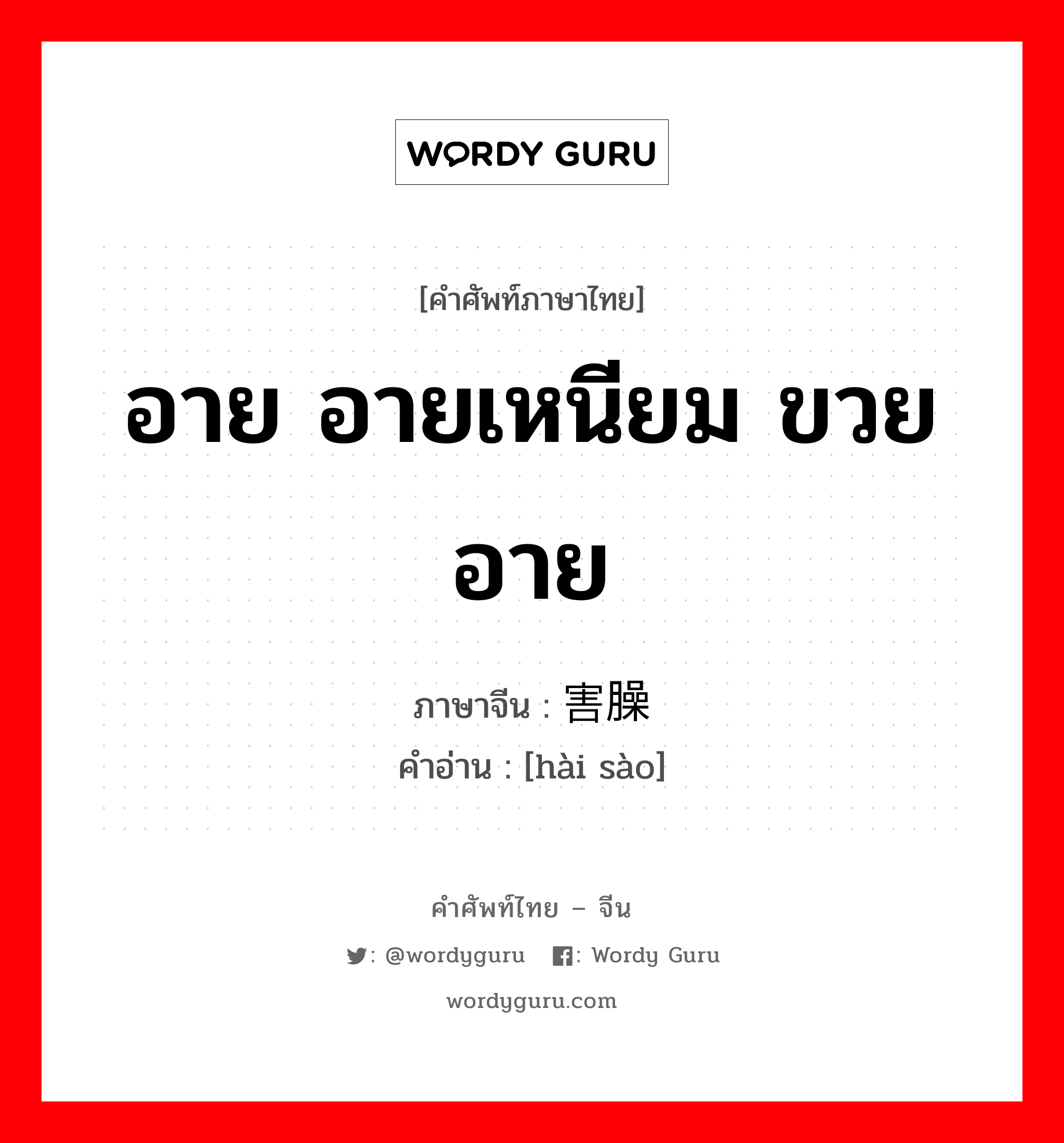 อาย อายเหนียม ขวยอาย ภาษาจีนคืออะไร, คำศัพท์ภาษาไทย - จีน อาย อายเหนียม ขวยอาย ภาษาจีน 害臊 คำอ่าน [hài sào]