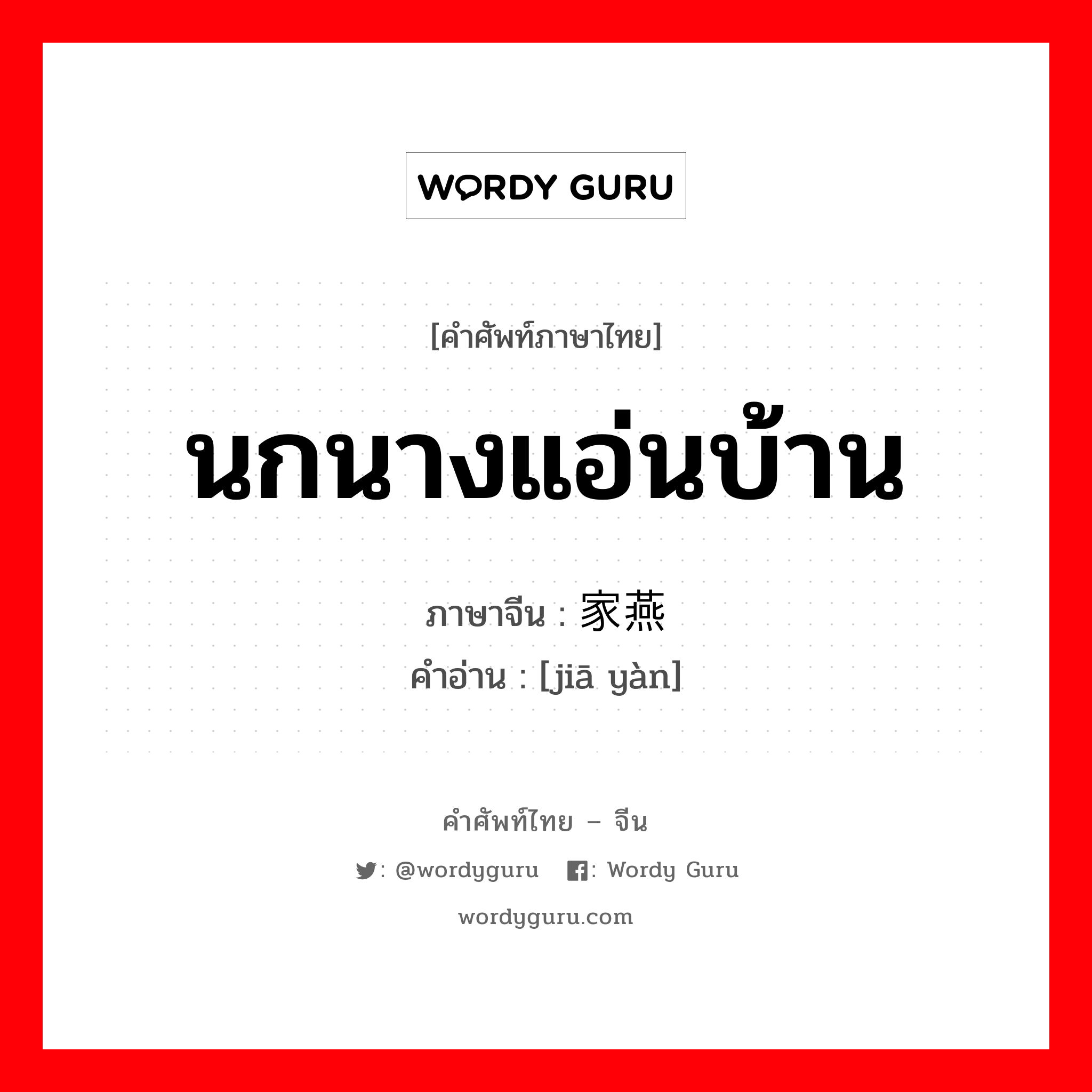 นกนางแอ่นบ้าน ภาษาจีนคืออะไร, คำศัพท์ภาษาไทย - จีน นกนางแอ่นบ้าน ภาษาจีน 家燕 คำอ่าน [jiā yàn]