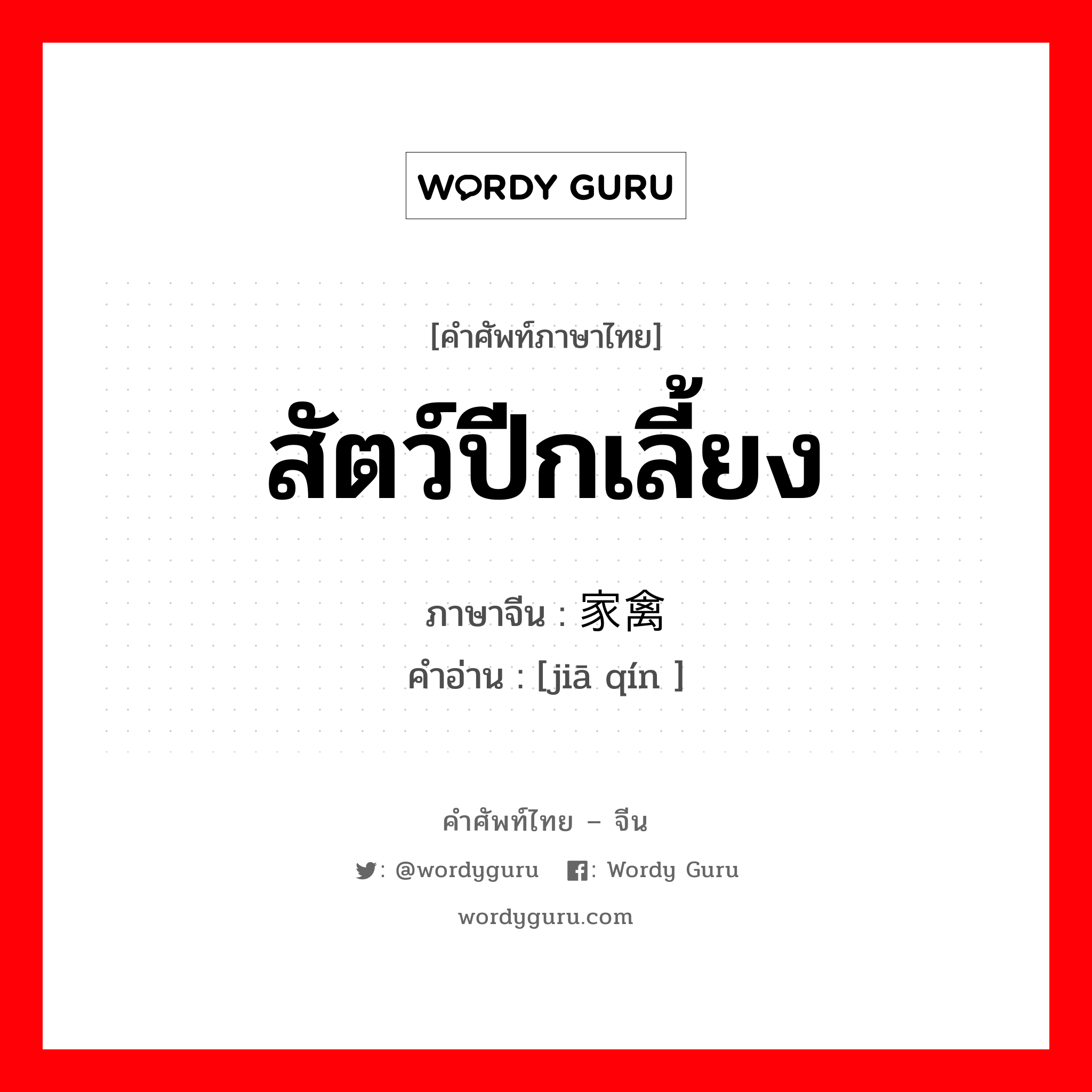 สัตว์ปีกเลี้ยง ภาษาจีนคืออะไร, คำศัพท์ภาษาไทย - จีน สัตว์ปีกเลี้ยง ภาษาจีน 家禽 คำอ่าน [jiā qín ]