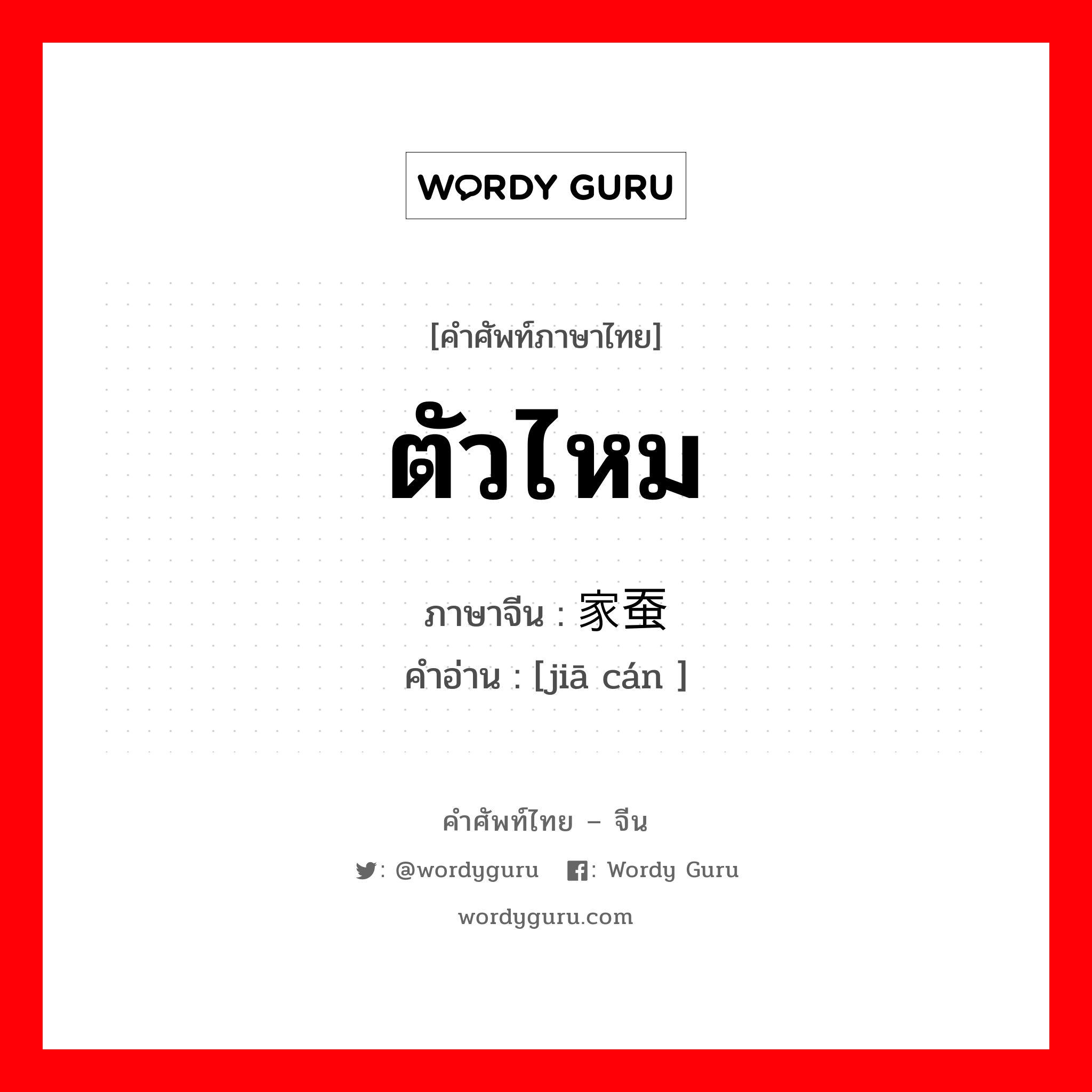 ตัวไหม ภาษาจีนคืออะไร, คำศัพท์ภาษาไทย - จีน ตัวไหม ภาษาจีน 家蚕 คำอ่าน [jiā cán ]