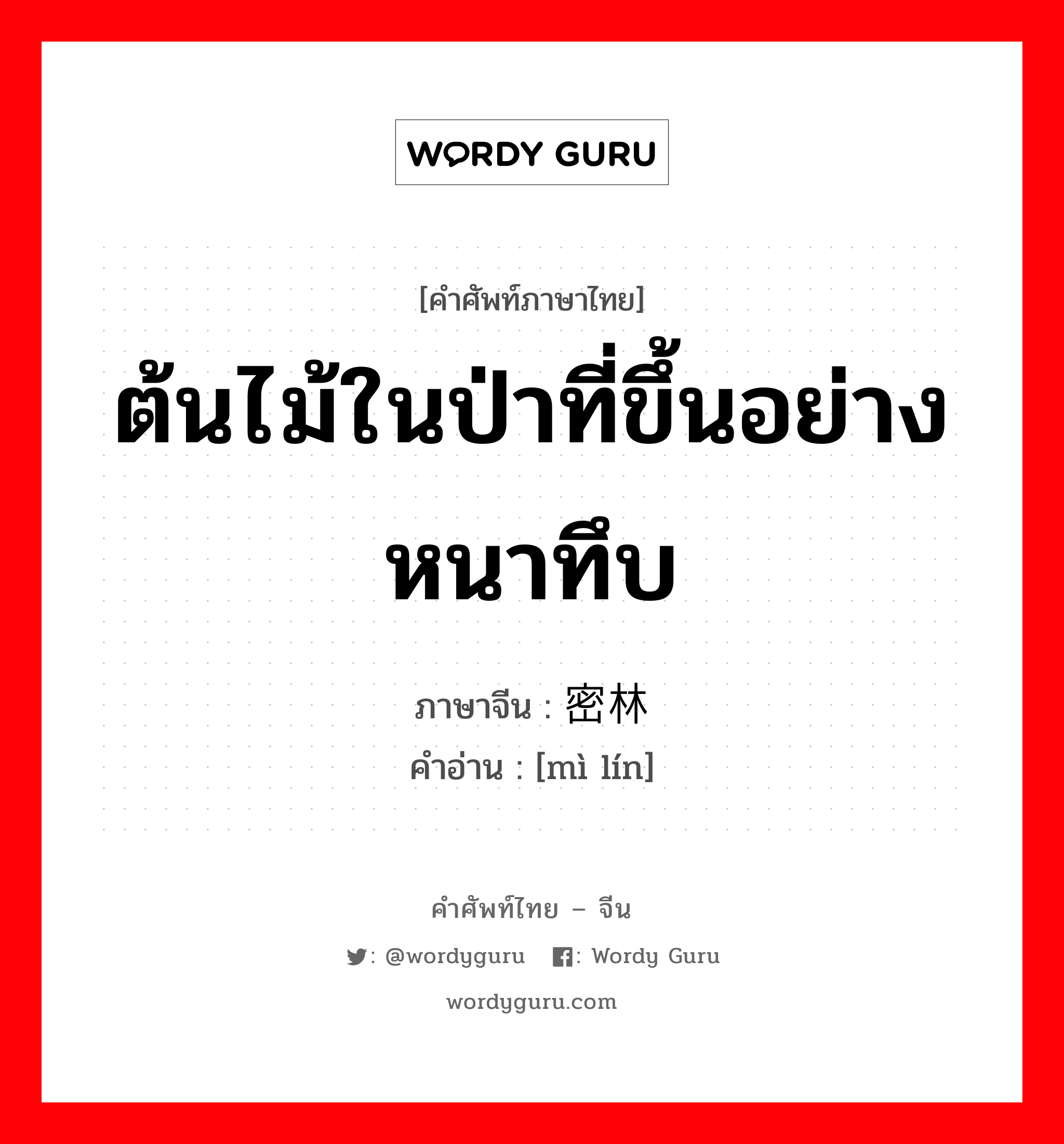 ต้นไม้ในป่าที่ขึ้นอย่างหนาทึบ ภาษาจีนคืออะไร, คำศัพท์ภาษาไทย - จีน ต้นไม้ในป่าที่ขึ้นอย่างหนาทึบ ภาษาจีน 密林 คำอ่าน [mì lín]