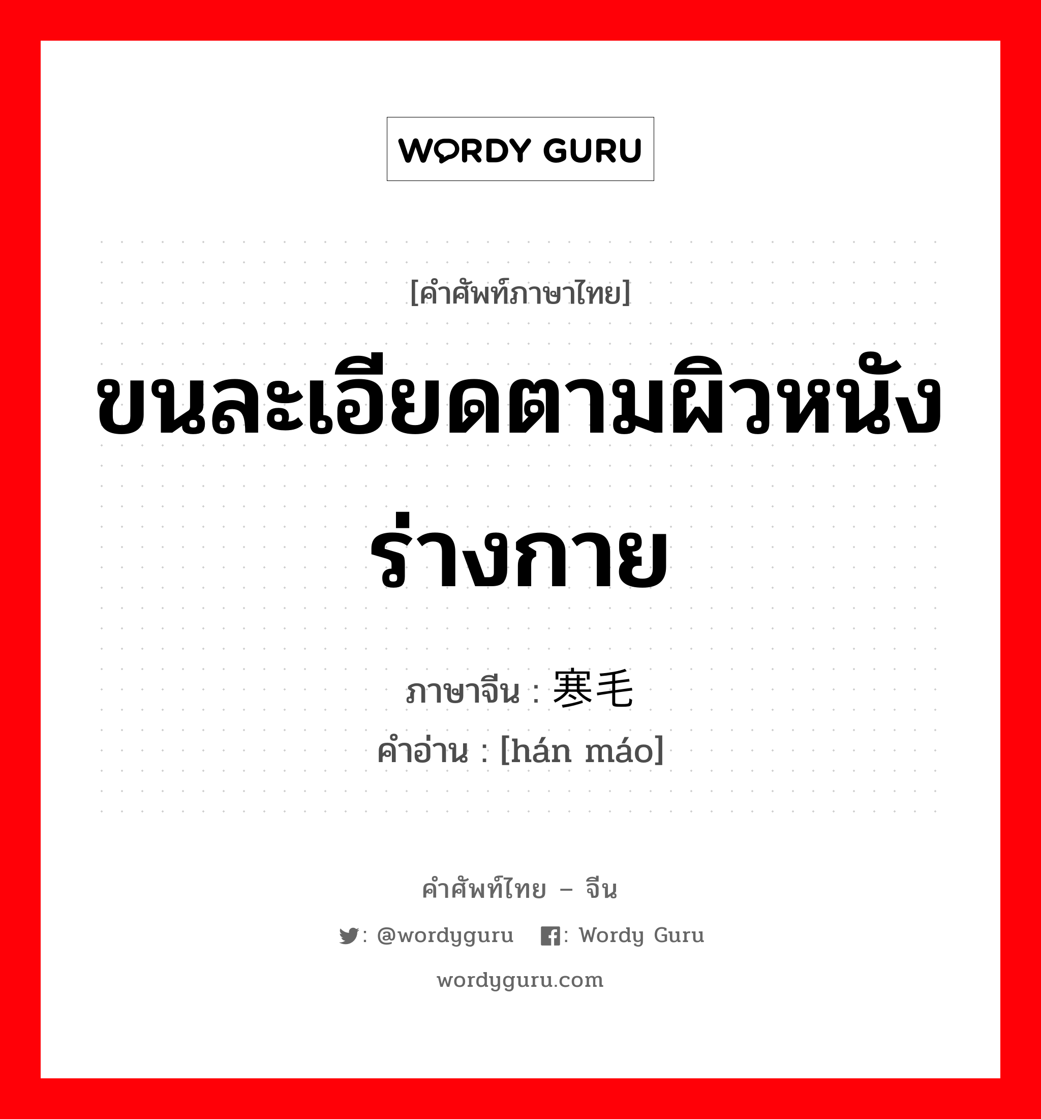 ขนละเอียดตามผิวหนังร่างกาย ภาษาจีนคืออะไร, คำศัพท์ภาษาไทย - จีน ขนละเอียดตามผิวหนังร่างกาย ภาษาจีน 寒毛 คำอ่าน [hán máo]