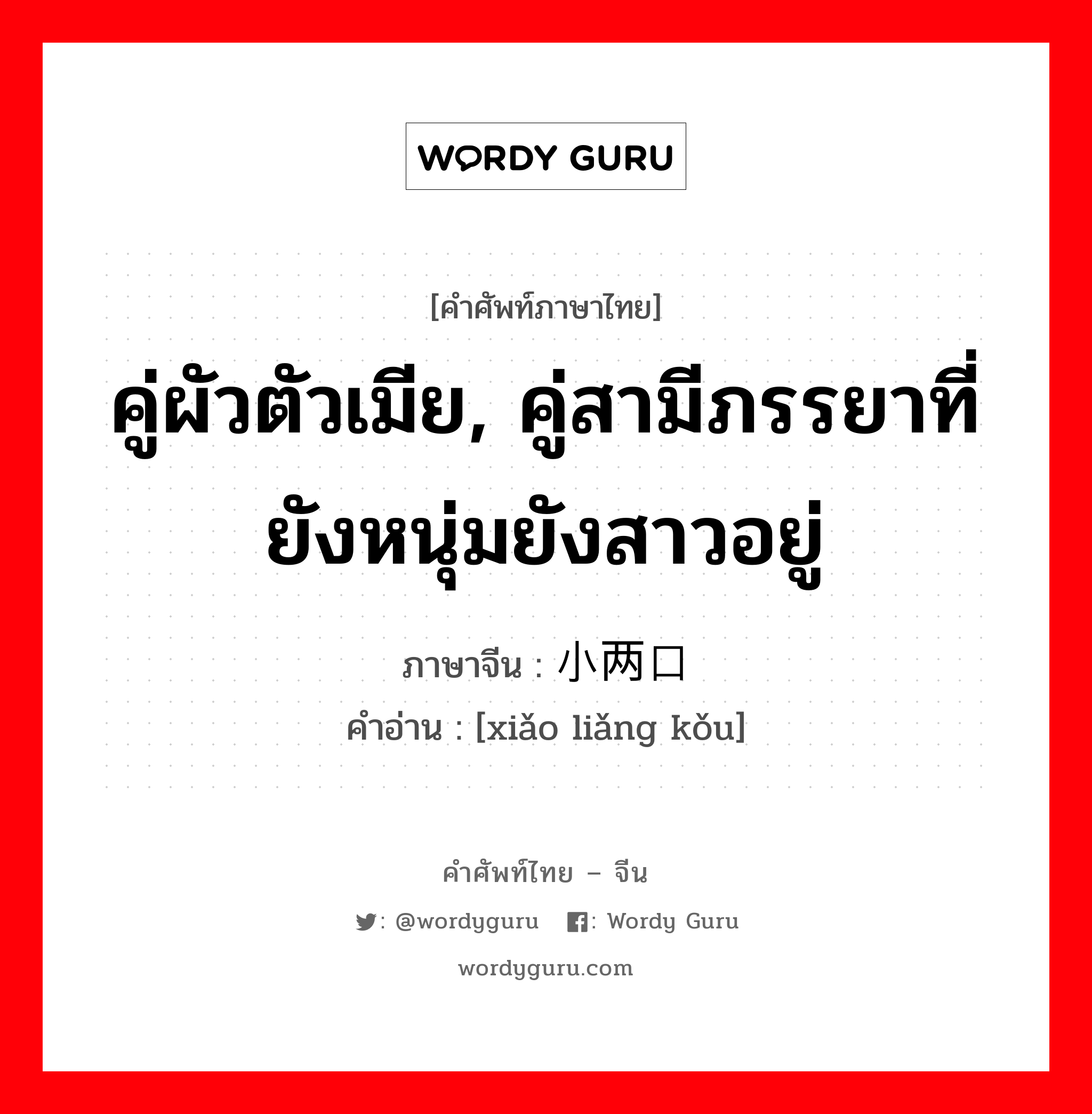 คู่ผัวตัวเมีย, คู่สามีภรรยาที่ยังหนุ่มยังสาวอยู่ ภาษาจีนคืออะไร, คำศัพท์ภาษาไทย - จีน คู่ผัวตัวเมีย, คู่สามีภรรยาที่ยังหนุ่มยังสาวอยู่ ภาษาจีน 小两口 คำอ่าน [xiǎo liǎng kǒu]