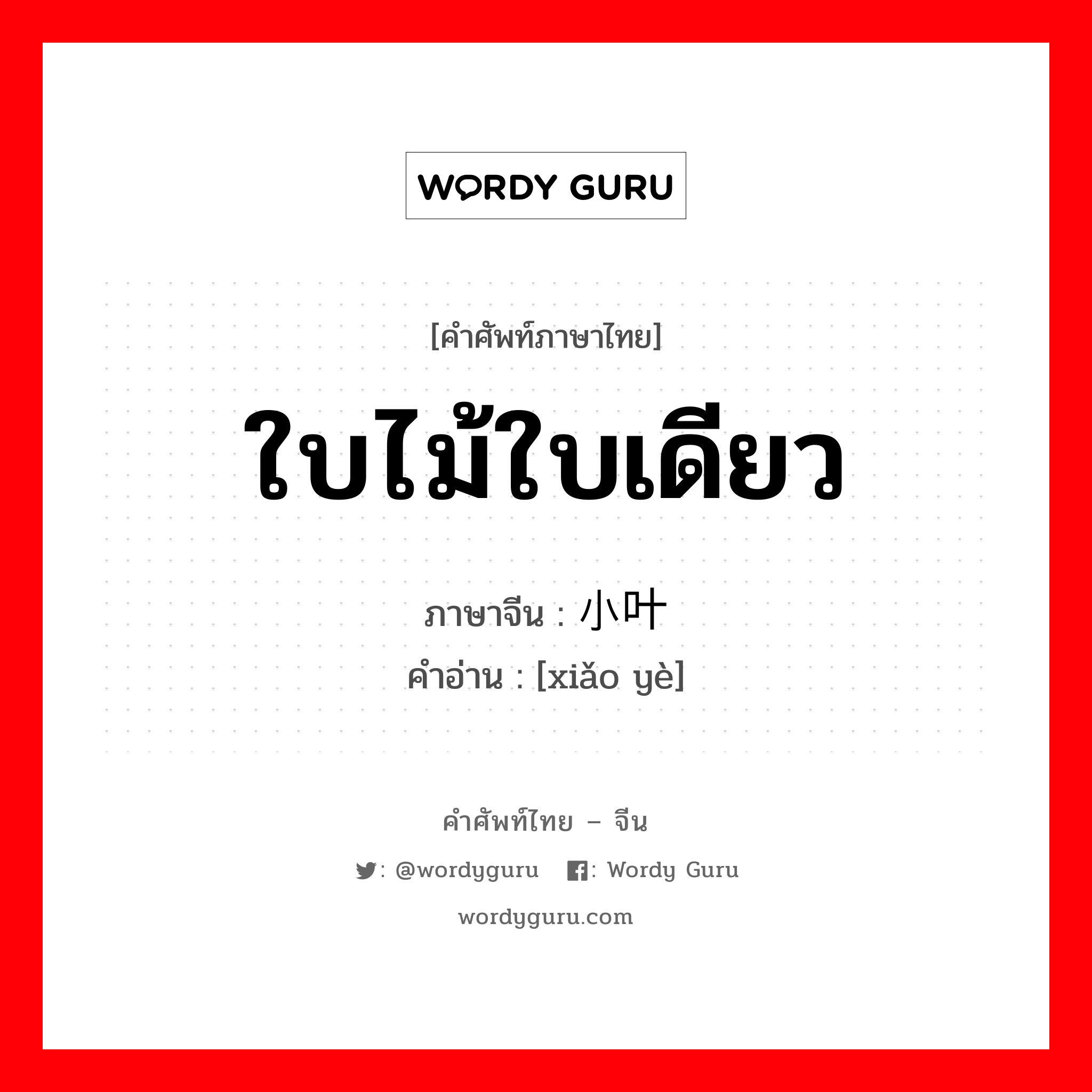 ใบไม้ใบเดียว ภาษาจีนคืออะไร, คำศัพท์ภาษาไทย - จีน ใบไม้ใบเดียว ภาษาจีน 小叶 คำอ่าน [xiǎo yè]