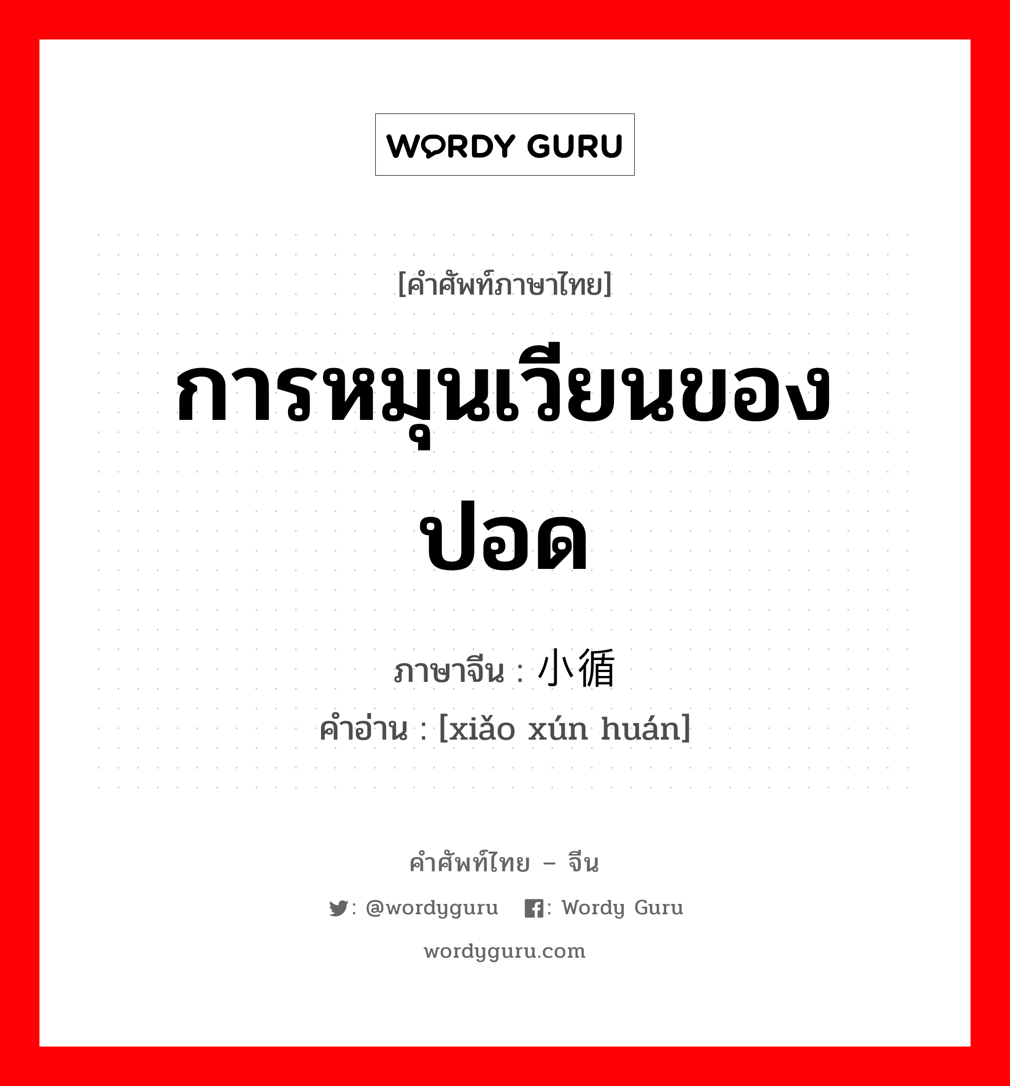 การหมุนเวียนของปอด ภาษาจีนคืออะไร, คำศัพท์ภาษาไทย - จีน การหมุนเวียนของปอด ภาษาจีน 小循环 คำอ่าน [xiǎo xún huán]