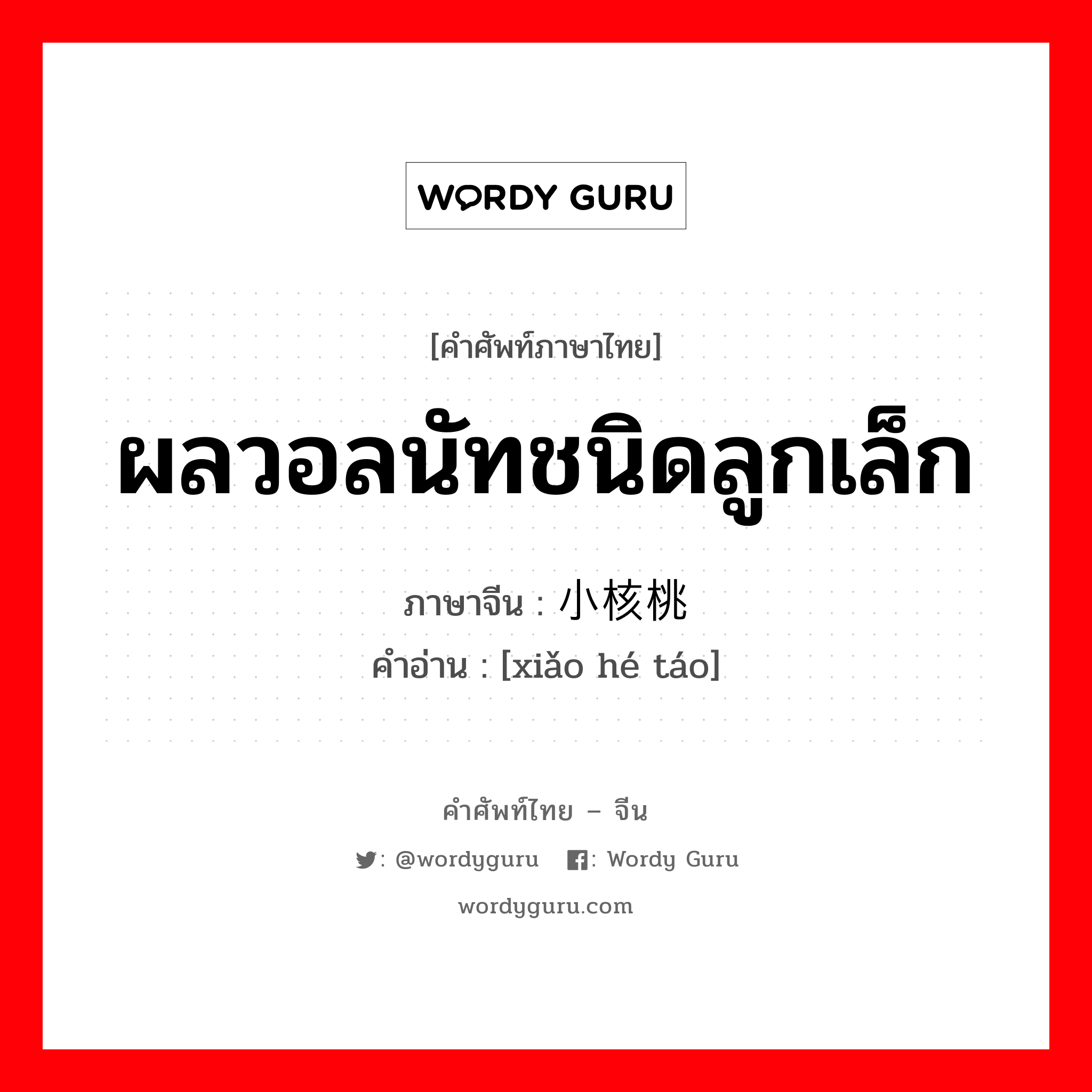 ผลวอลนัทชนิดลูกเล็ก ภาษาจีนคืออะไร, คำศัพท์ภาษาไทย - จีน ผลวอลนัทชนิดลูกเล็ก ภาษาจีน 小核桃 คำอ่าน [xiǎo hé táo]