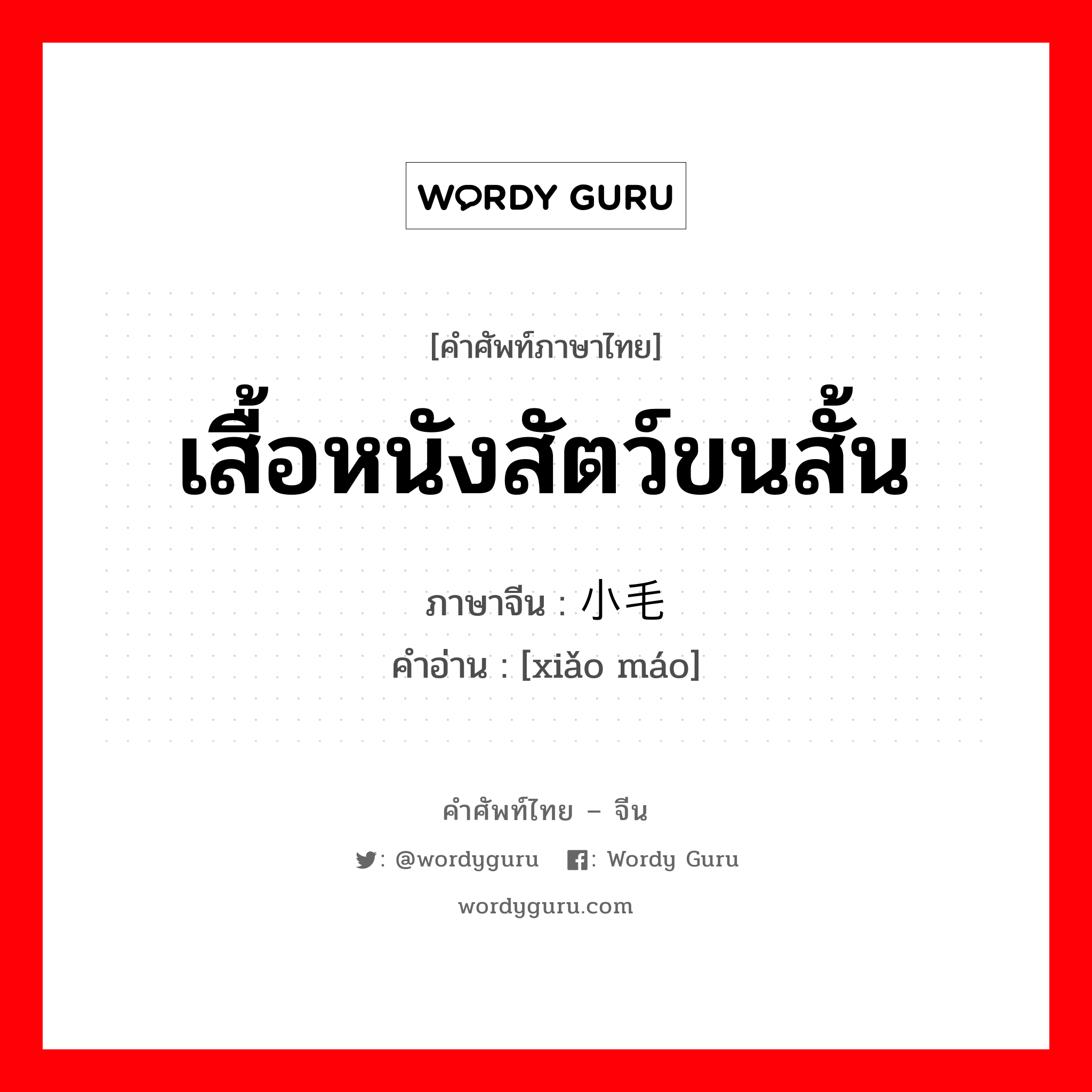 เสื้อหนังสัตว์ขนสั้น ภาษาจีนคืออะไร, คำศัพท์ภาษาไทย - จีน เสื้อหนังสัตว์ขนสั้น ภาษาจีน 小毛 คำอ่าน [xiǎo máo]