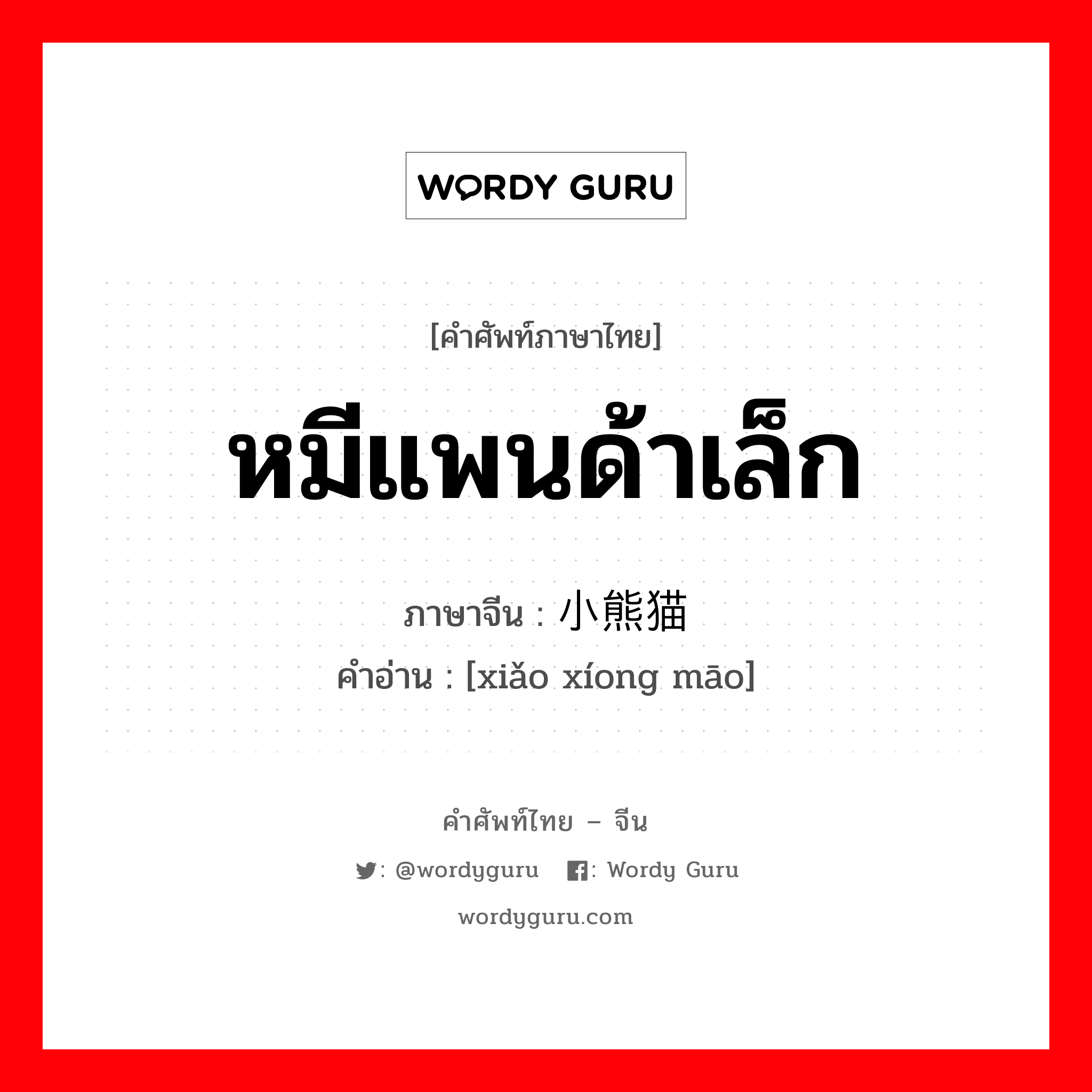 หมีแพนด้าเล็ก ภาษาจีนคืออะไร, คำศัพท์ภาษาไทย - จีน หมีแพนด้าเล็ก ภาษาจีน 小熊猫 คำอ่าน [xiǎo xíong māo]