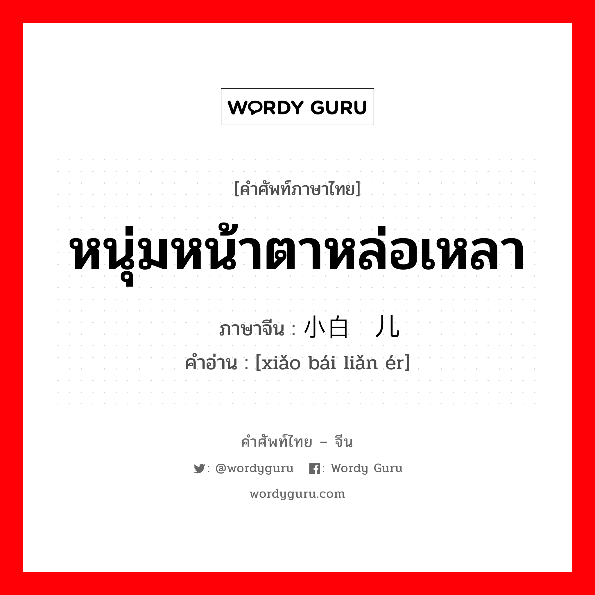 หนุ่มหน้าตาหล่อเหลา ภาษาจีนคืออะไร, คำศัพท์ภาษาไทย - จีน หนุ่มหน้าตาหล่อเหลา ภาษาจีน 小白脸儿 คำอ่าน [xiǎo bái liǎn ér]