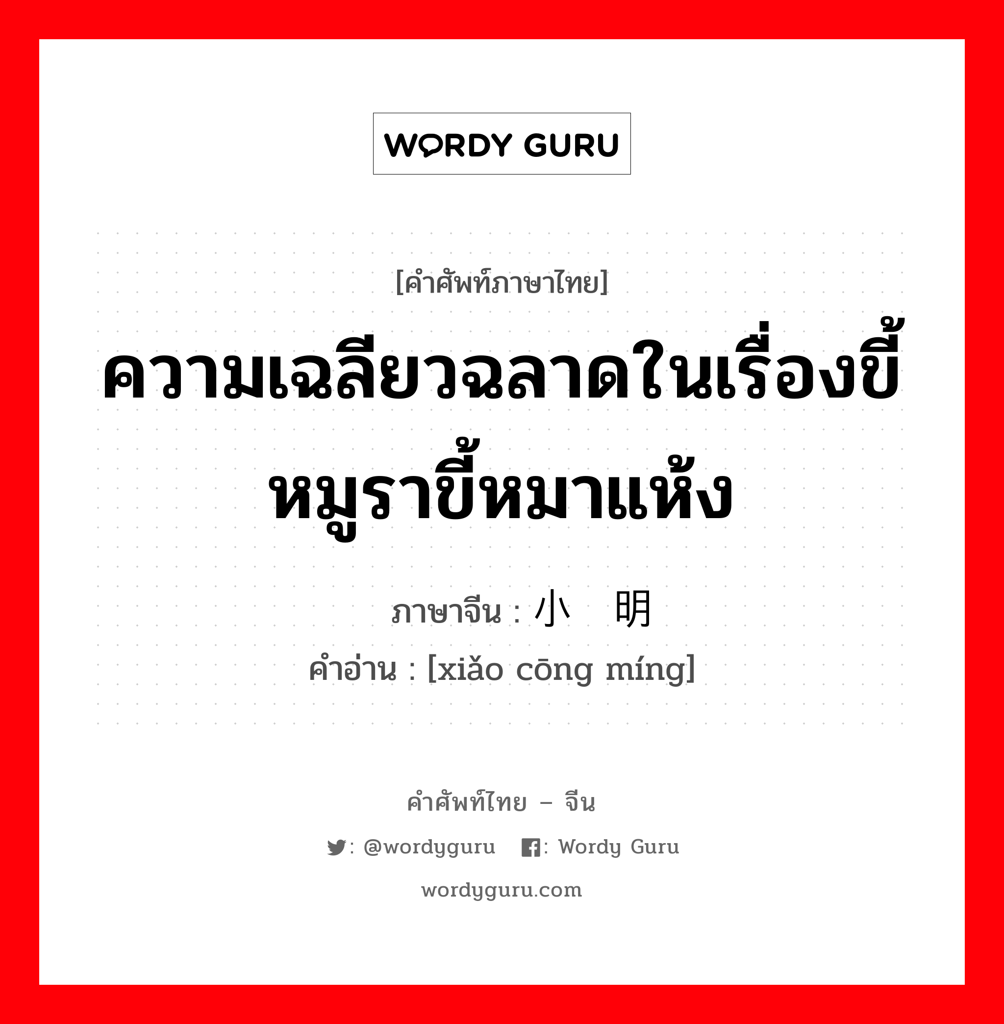 小聪明 ภาษาไทย?, คำศัพท์ภาษาไทย - จีน 小聪明 ภาษาจีน ความเฉลียวฉลาดในเรื่องขี้หมูราขี้หมาแห้ง คำอ่าน [xiǎo cōng míng]