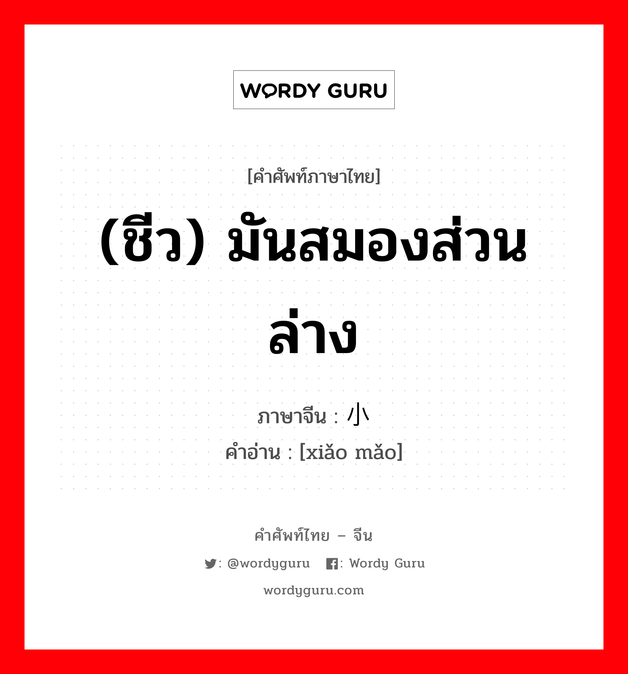 (ชีว) มันสมองส่วนล่าง ภาษาจีนคืออะไร, คำศัพท์ภาษาไทย - จีน (ชีว) มันสมองส่วนล่าง ภาษาจีน 小脑 คำอ่าน [xiǎo mǎo]