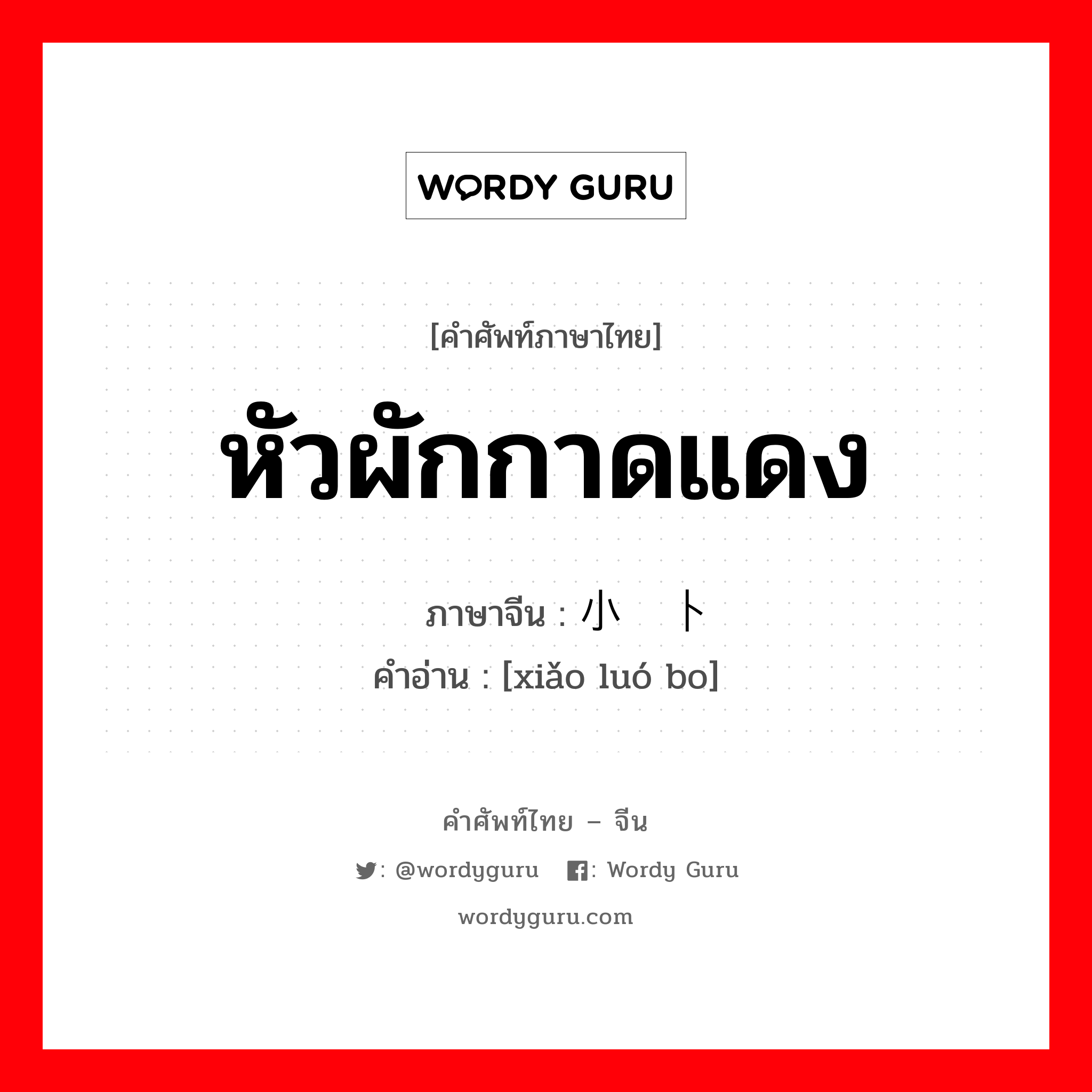 หัวผักกาดแดง ภาษาจีนคืออะไร, คำศัพท์ภาษาไทย - จีน หัวผักกาดแดง ภาษาจีน 小萝卜 คำอ่าน [xiǎo luó bo]