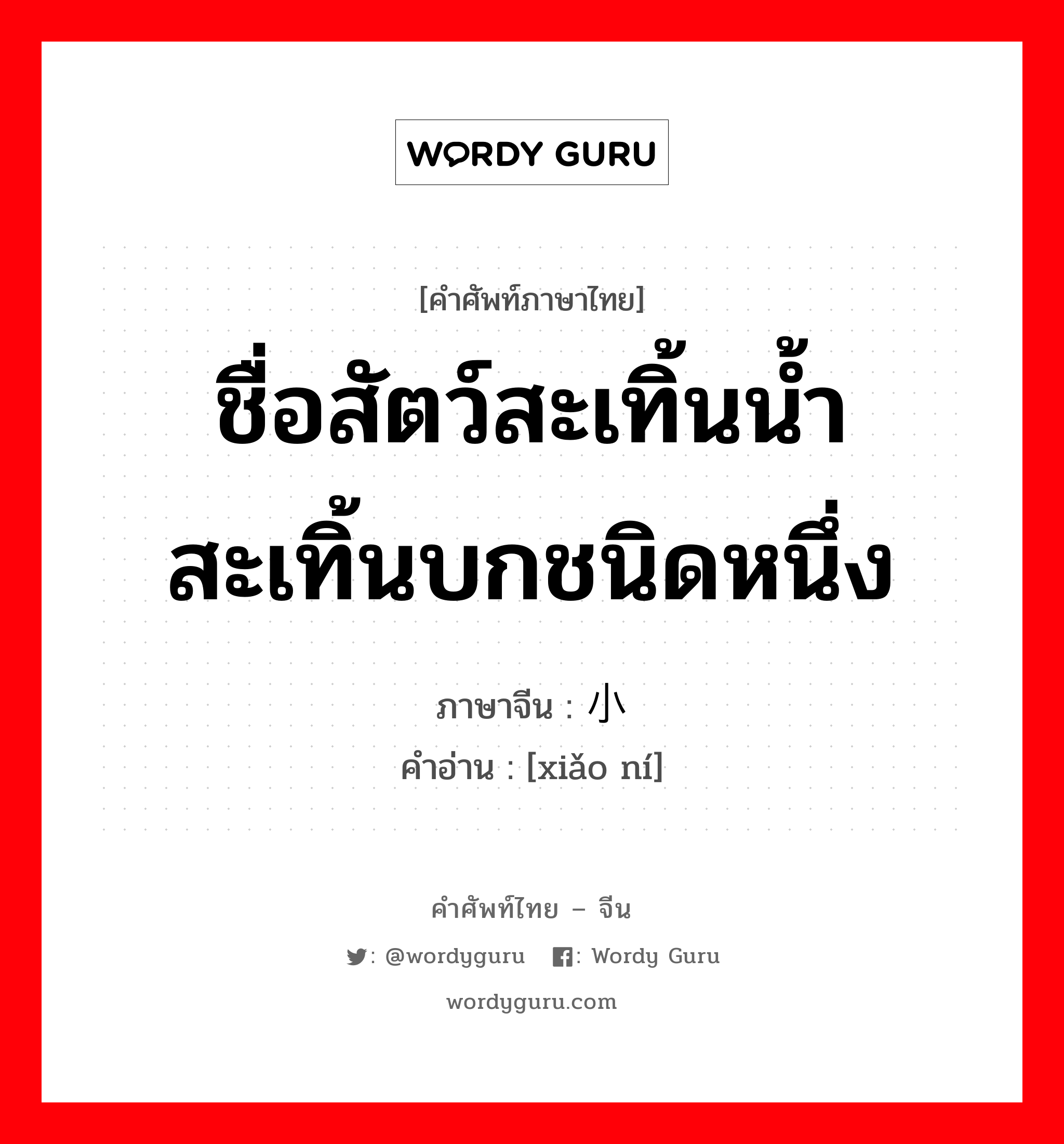 ชื่อสัตว์สะเทิ้นน้ำสะเทิ้นบกชนิดหนึ่ง ภาษาจีนคืออะไร, คำศัพท์ภาษาไทย - จีน ชื่อสัตว์สะเทิ้นน้ำสะเทิ้นบกชนิดหนึ่ง ภาษาจีน 小鲵 คำอ่าน [xiǎo ní]