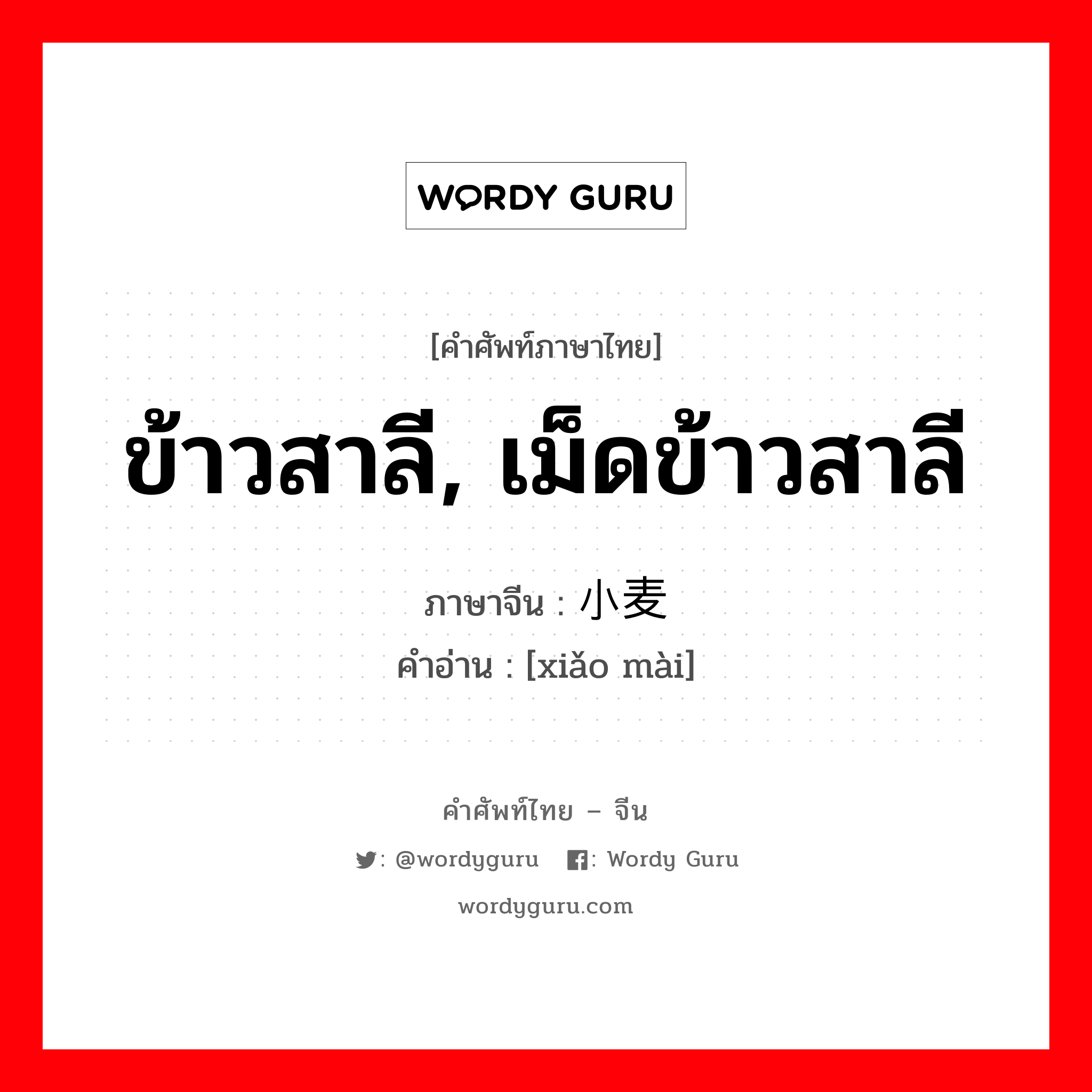 ข้าวสาลี, เม็ดข้าวสาลี ภาษาจีนคืออะไร, คำศัพท์ภาษาไทย - จีน ข้าวสาลี, เม็ดข้าวสาลี ภาษาจีน 小麦 คำอ่าน [xiǎo mài]