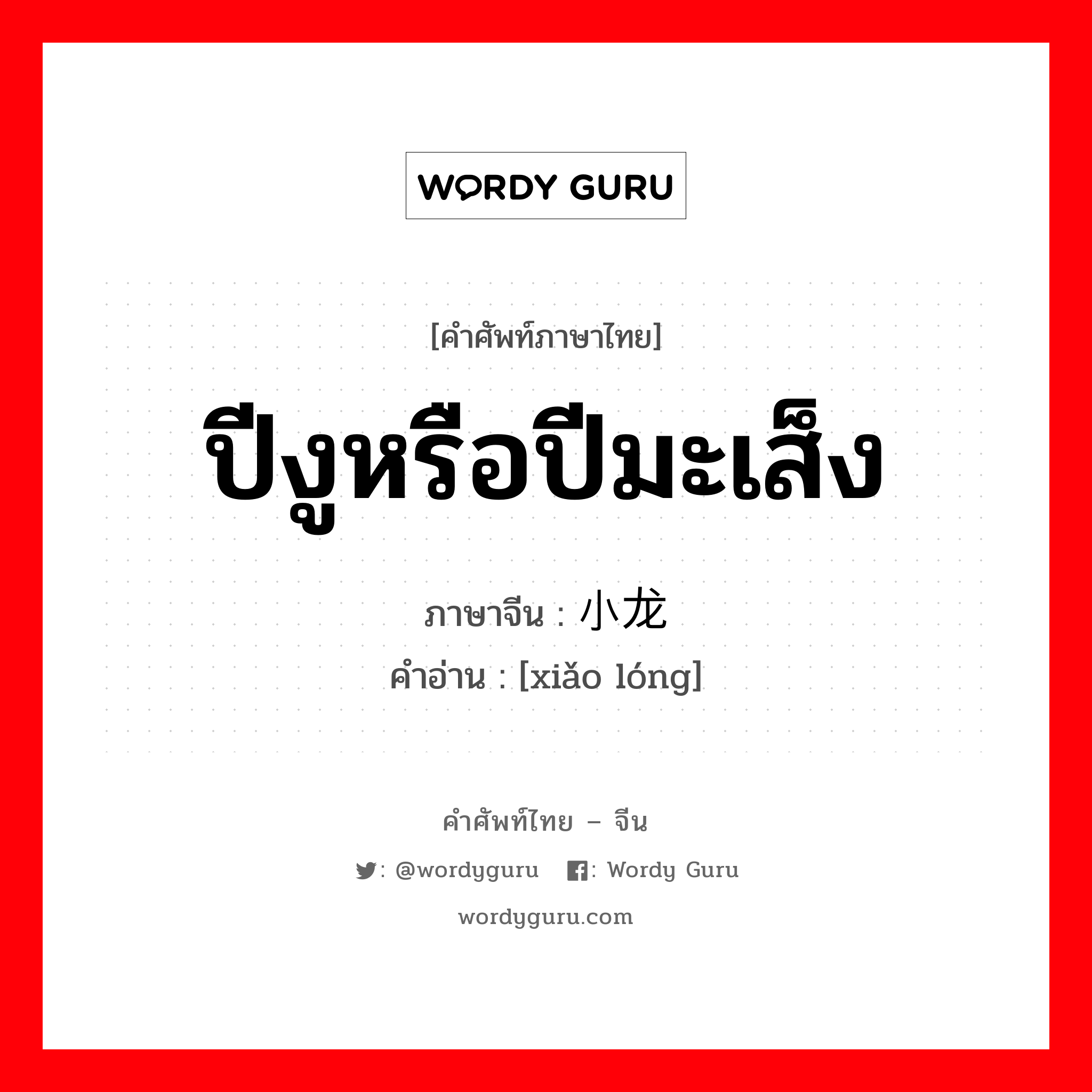 ปีงูหรือปีมะเส็ง ภาษาจีนคืออะไร, คำศัพท์ภาษาไทย - จีน ปีงูหรือปีมะเส็ง ภาษาจีน 小龙 คำอ่าน [xiǎo lóng]