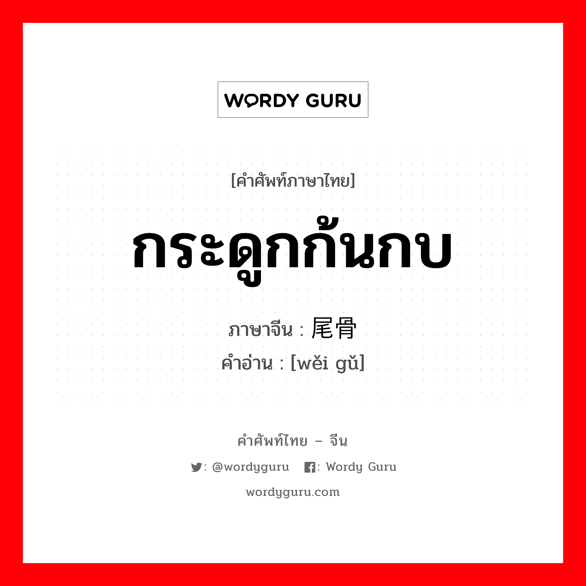 กระดูกก้นกบ ภาษาจีนคืออะไร, คำศัพท์ภาษาไทย - จีน กระดูกก้นกบ ภาษาจีน 尾骨 คำอ่าน [wěi gǔ]