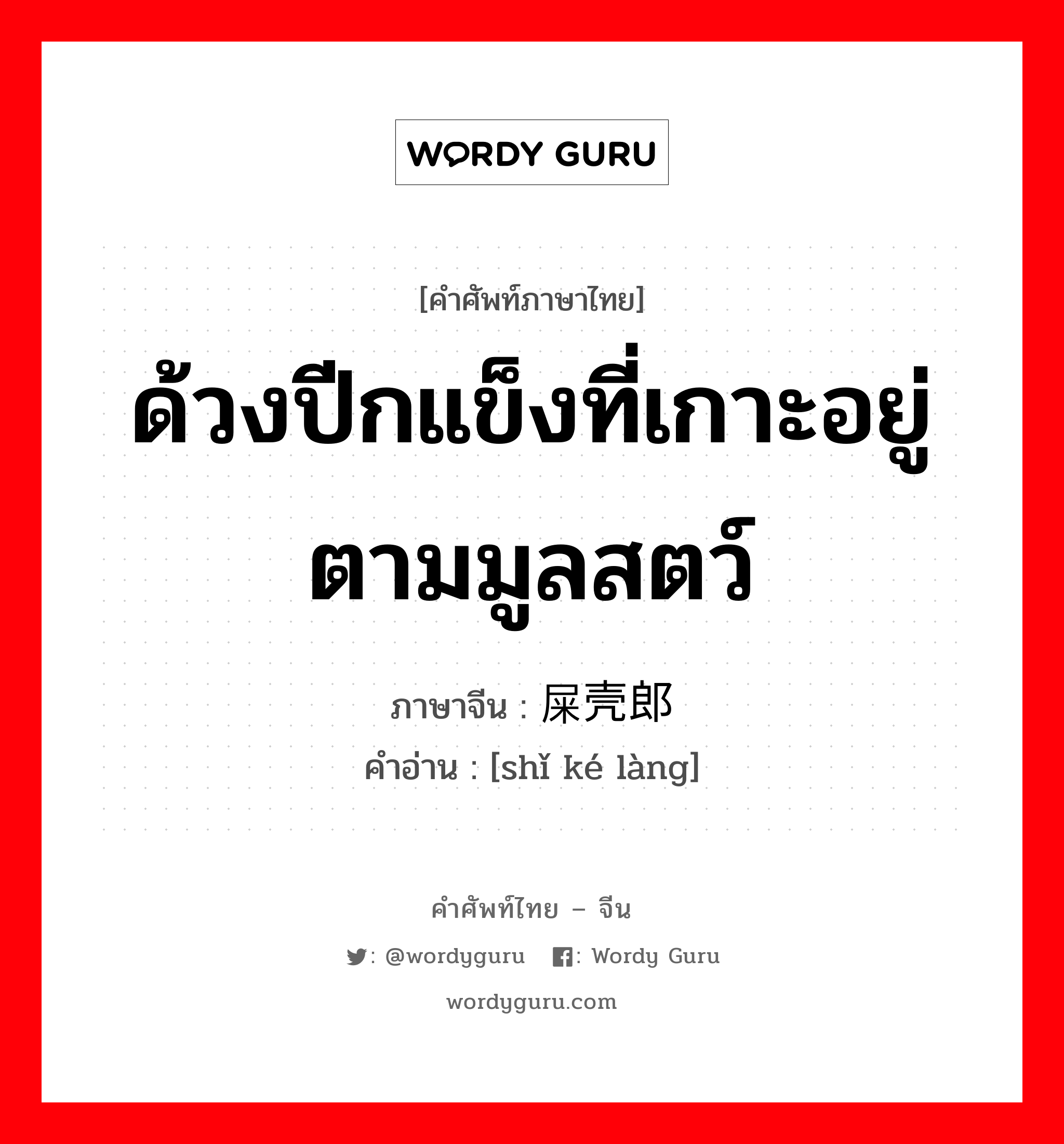 ด้วงปีกแข็งที่เกาะอยู่ตามมูลสตว์ ภาษาจีนคืออะไร, คำศัพท์ภาษาไทย - จีน ด้วงปีกแข็งที่เกาะอยู่ตามมูลสตว์ ภาษาจีน 屎壳郎 คำอ่าน [shǐ ké làng]