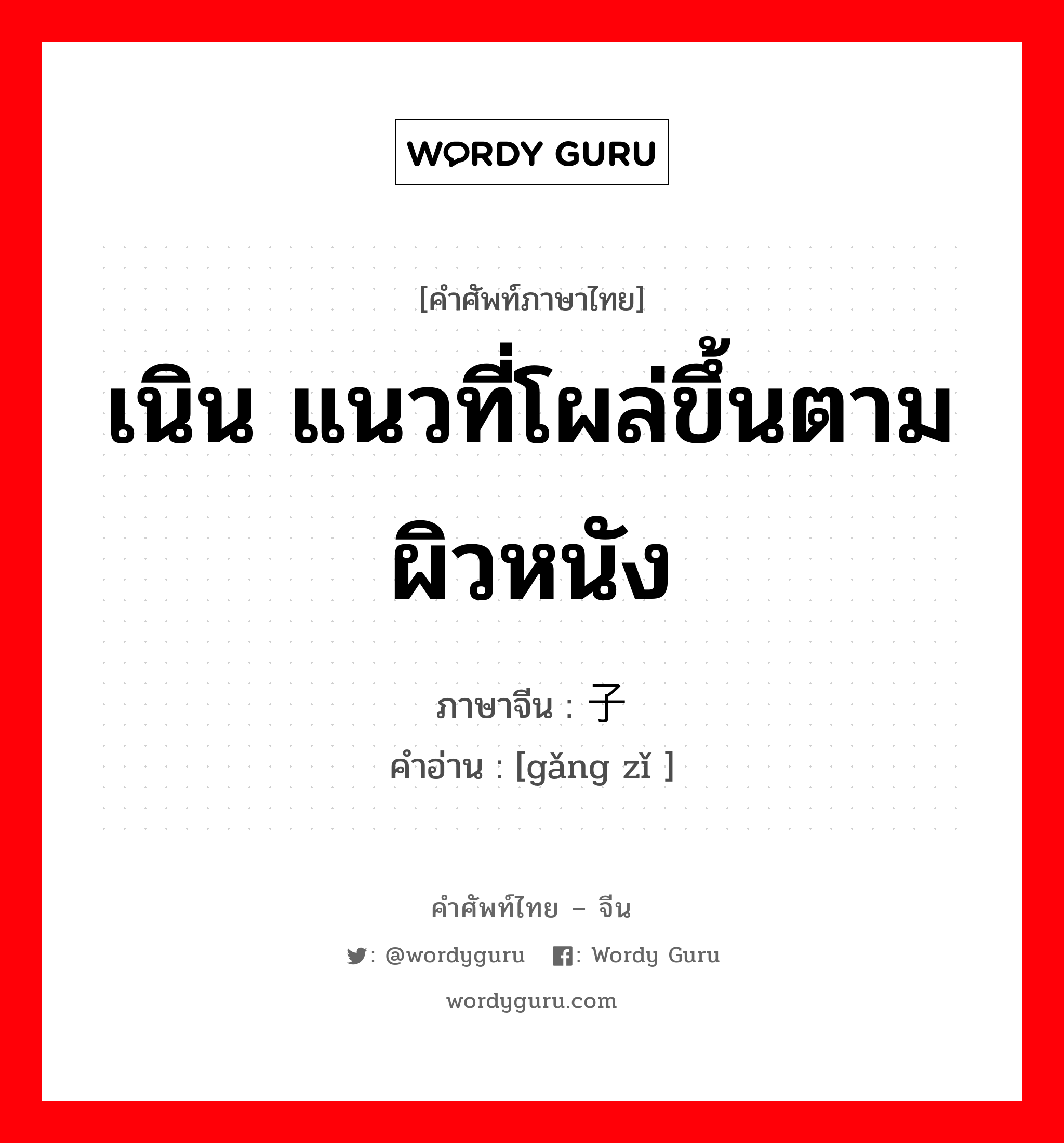 เนิน แนวที่โผล่ขึ้นตามผิวหนัง ภาษาจีนคืออะไร, คำศัพท์ภาษาไทย - จีน เนิน แนวที่โผล่ขึ้นตามผิวหนัง ภาษาจีน 岗子 คำอ่าน [gǎng zǐ ]