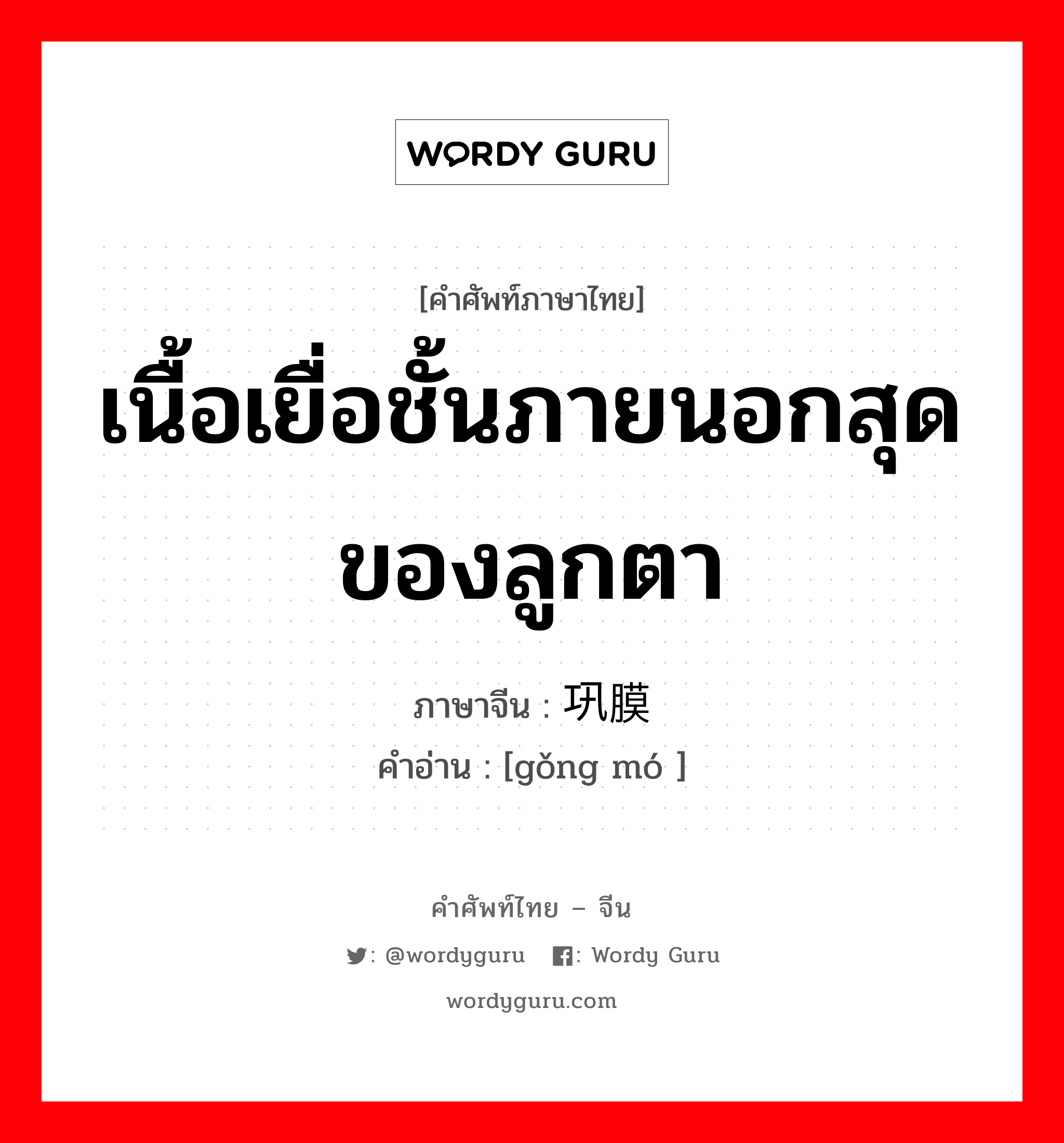 เนื้อเยื่อชั้นภายนอกสุดของลูกตา ภาษาจีนคืออะไร, คำศัพท์ภาษาไทย - จีน เนื้อเยื่อชั้นภายนอกสุดของลูกตา ภาษาจีน 巩膜 คำอ่าน [gǒng mó ]