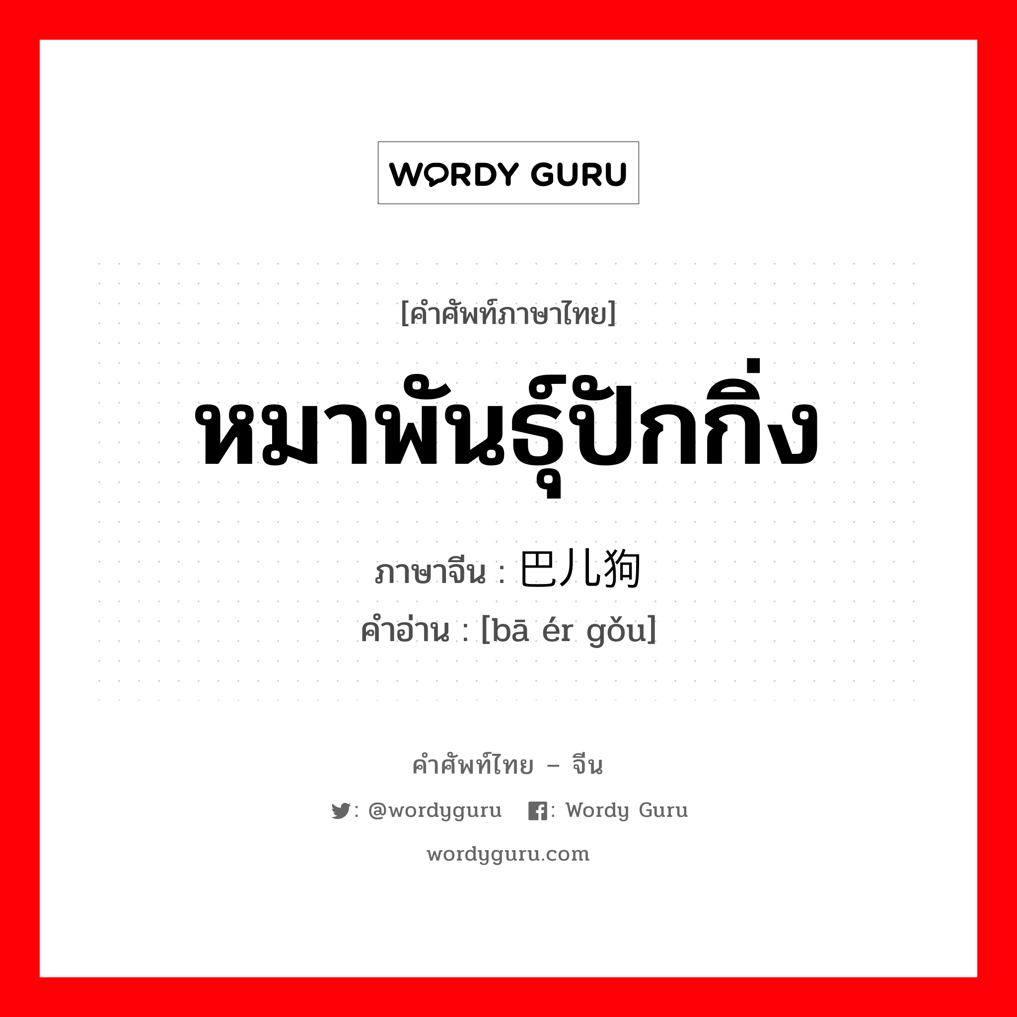 หมาพันธุ์ปักกิ่ง ภาษาจีนคืออะไร, คำศัพท์ภาษาไทย - จีน หมาพันธุ์ปักกิ่ง ภาษาจีน 巴儿狗 คำอ่าน [bā ér gǒu]