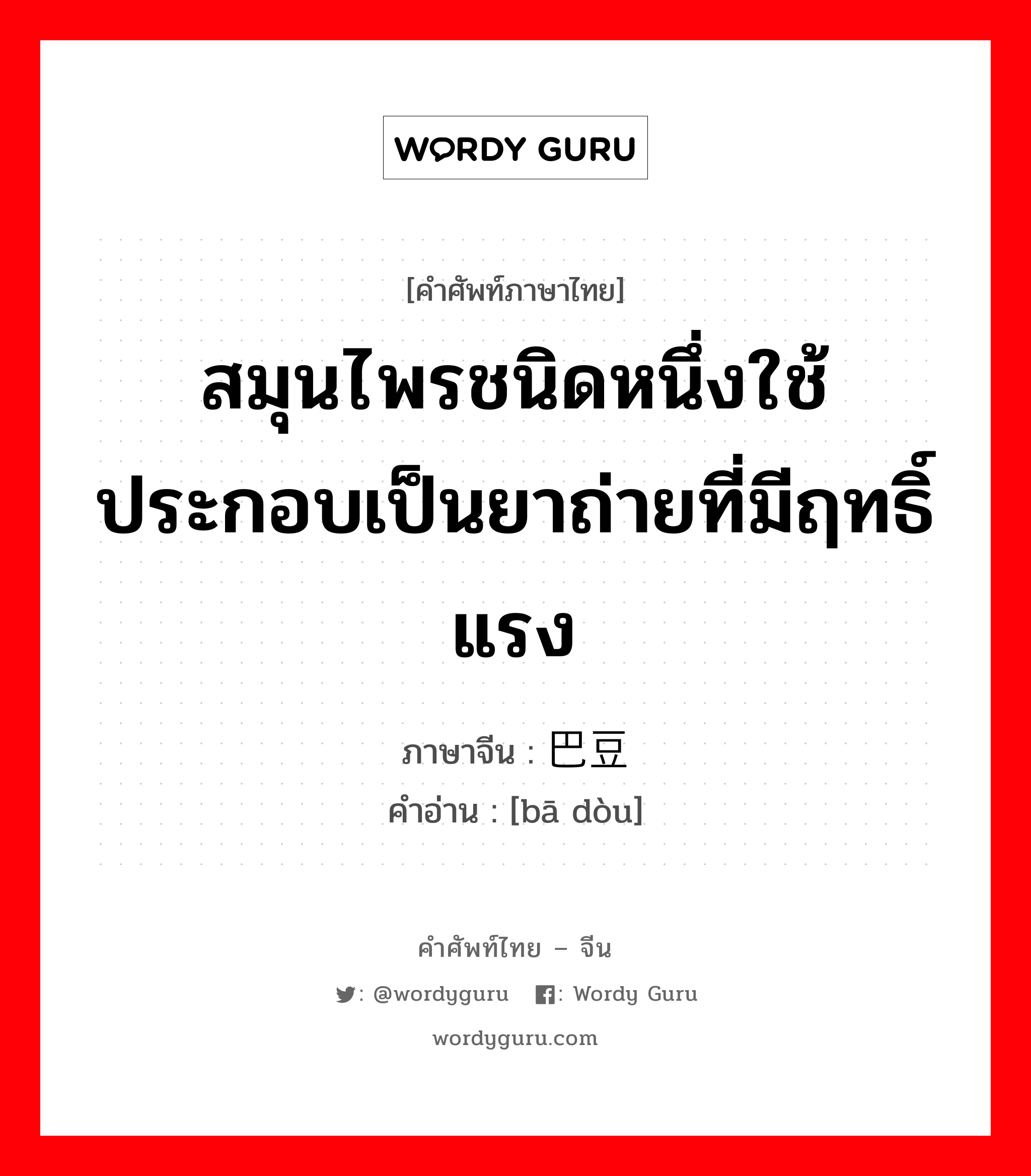 สมุนไพรชนิดหนึ่งใช้ประกอบเป็นยาถ่ายที่มีฤทธิ์แรง ภาษาจีนคืออะไร, คำศัพท์ภาษาไทย - จีน สมุนไพรชนิดหนึ่งใช้ประกอบเป็นยาถ่ายที่มีฤทธิ์แรง ภาษาจีน 巴豆 คำอ่าน [bā dòu]