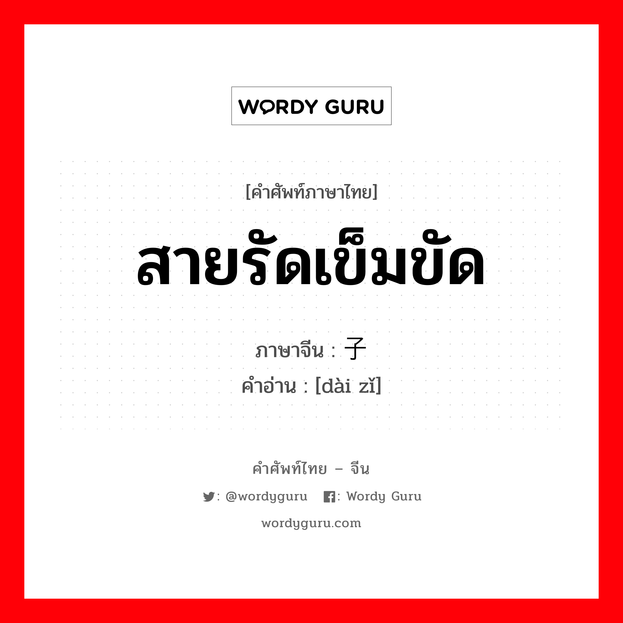 สายรัดเข็มขัด ภาษาจีนคืออะไร, คำศัพท์ภาษาไทย - จีน สายรัดเข็มขัด ภาษาจีน 带子 คำอ่าน [dài zǐ]