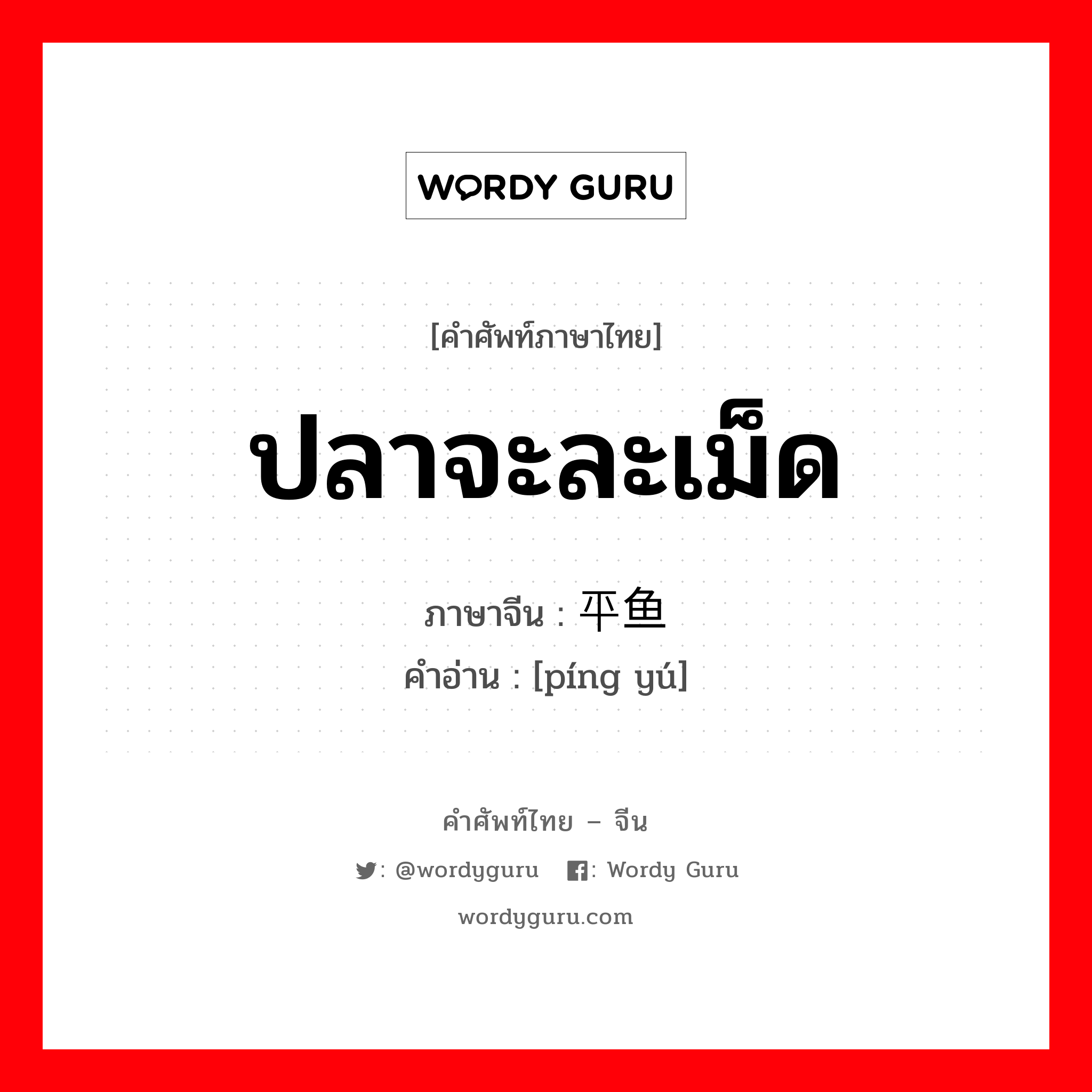 ปลาจะละเม็ด ภาษาจีนคืออะไร, คำศัพท์ภาษาไทย - จีน ปลาจะละเม็ด ภาษาจีน 平鱼 คำอ่าน [píng yú]