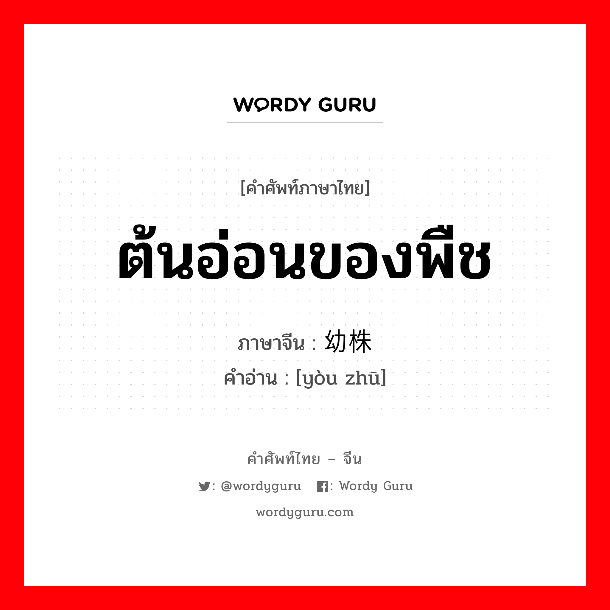 ต้นอ่อนของพืช ภาษาจีนคืออะไร, คำศัพท์ภาษาไทย - จีน ต้นอ่อนของพืช ภาษาจีน 幼株 คำอ่าน [yòu zhū]