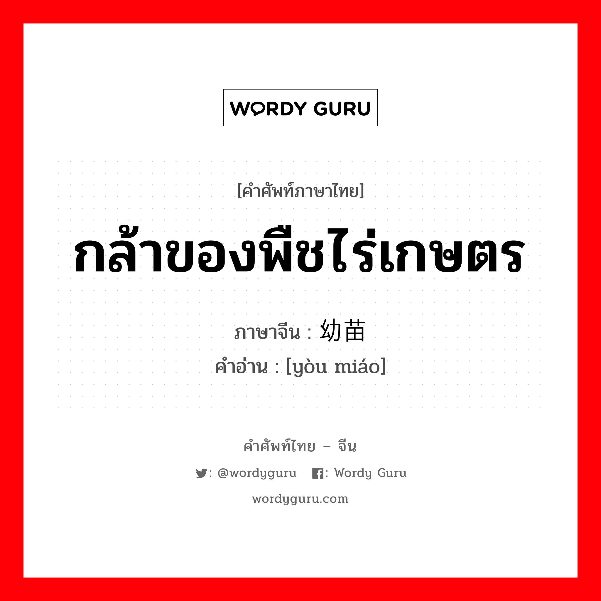 กล้าของพืชไร่เกษตร ภาษาจีนคืออะไร, คำศัพท์ภาษาไทย - จีน กล้าของพืชไร่เกษตร ภาษาจีน 幼苗 คำอ่าน [yòu miáo]