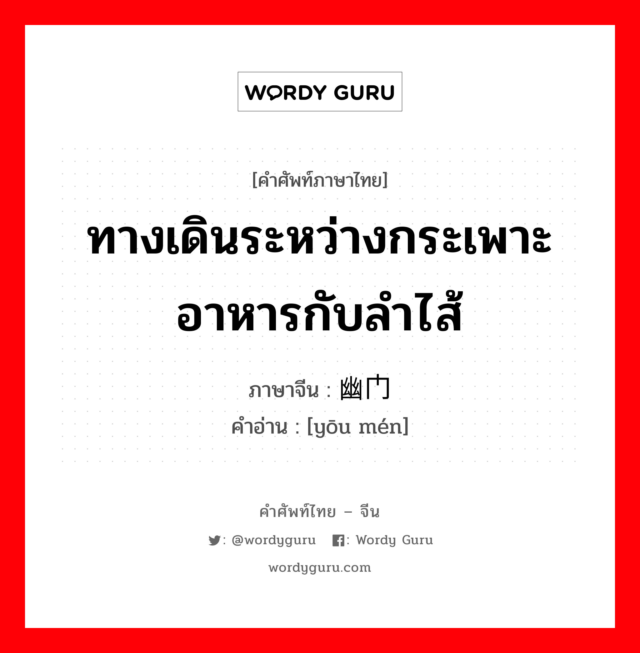 ทางเดินระหว่างกระเพาะอาหารกับลำไส้ ภาษาจีนคืออะไร, คำศัพท์ภาษาไทย - จีน ทางเดินระหว่างกระเพาะอาหารกับลำไส้ ภาษาจีน 幽门 คำอ่าน [yōu mén]