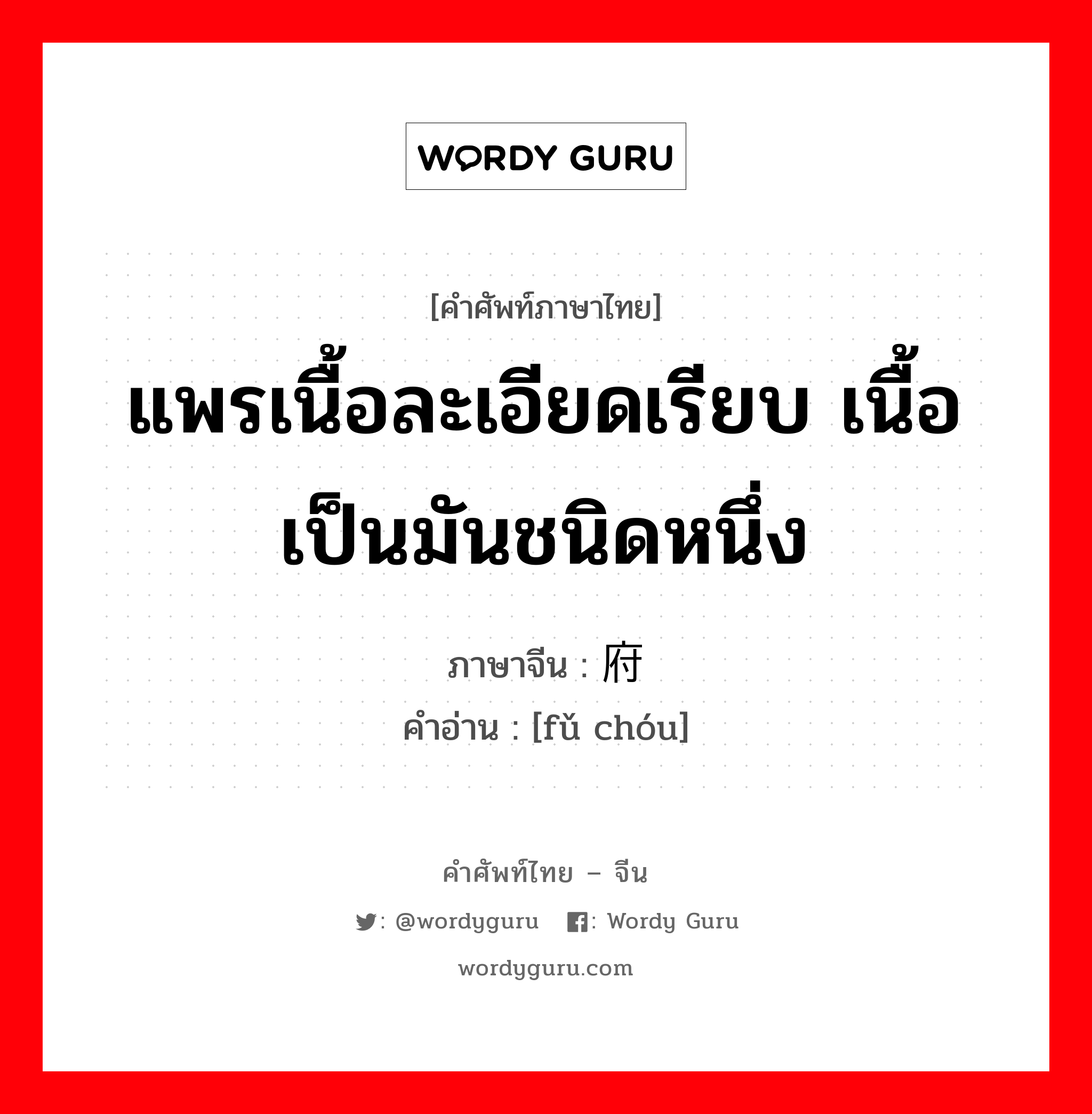 แพรเนื้อละเอียดเรียบ เนื้อเป็นมันชนิดหนึ่ง ภาษาจีนคืออะไร, คำศัพท์ภาษาไทย - จีน แพรเนื้อละเอียดเรียบ เนื้อเป็นมันชนิดหนึ่ง ภาษาจีน 府绸 คำอ่าน [fǔ chóu]