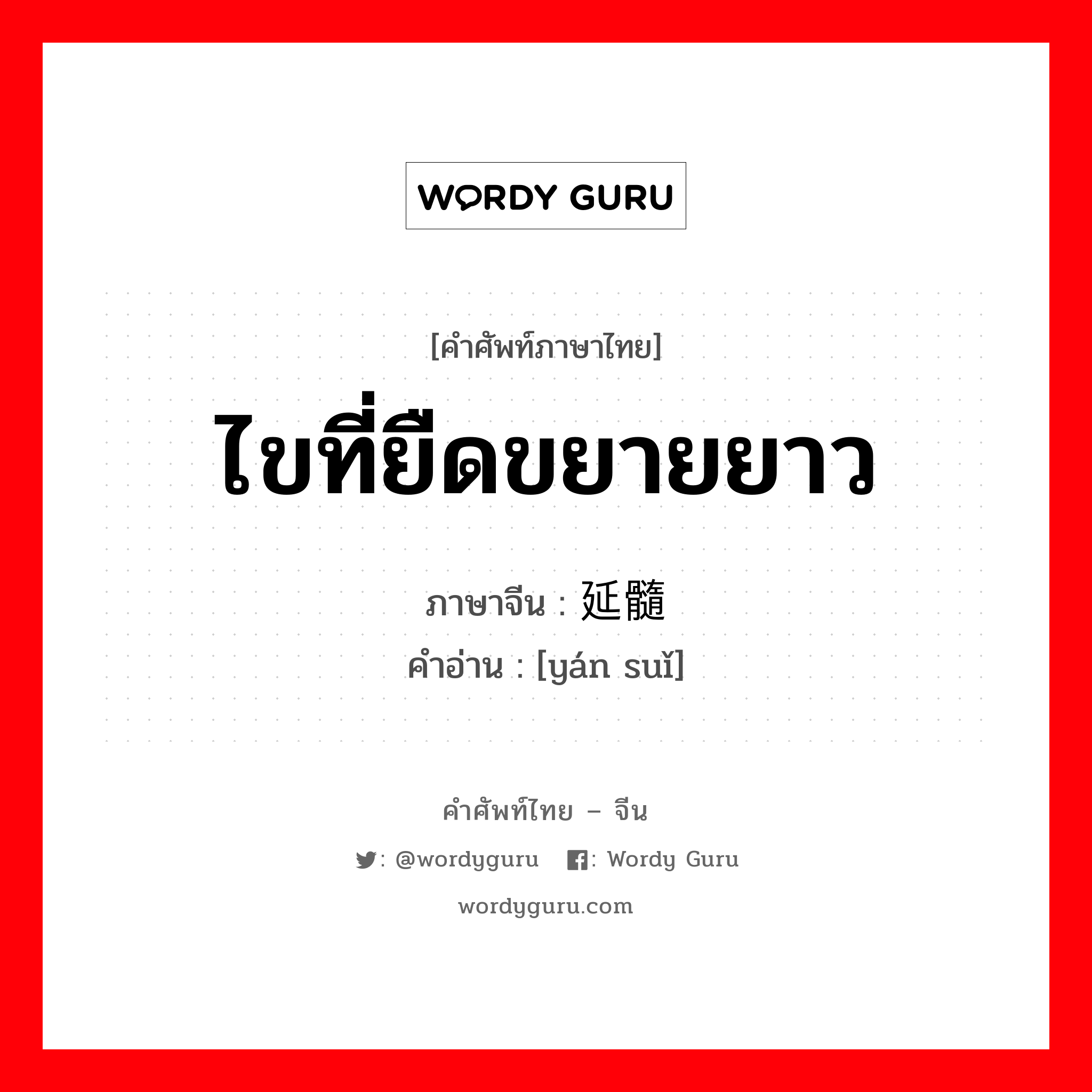 ไขที่ยืดขยายยาว ภาษาจีนคืออะไร, คำศัพท์ภาษาไทย - จีน ไขที่ยืดขยายยาว ภาษาจีน 延髓 คำอ่าน [yán suǐ]