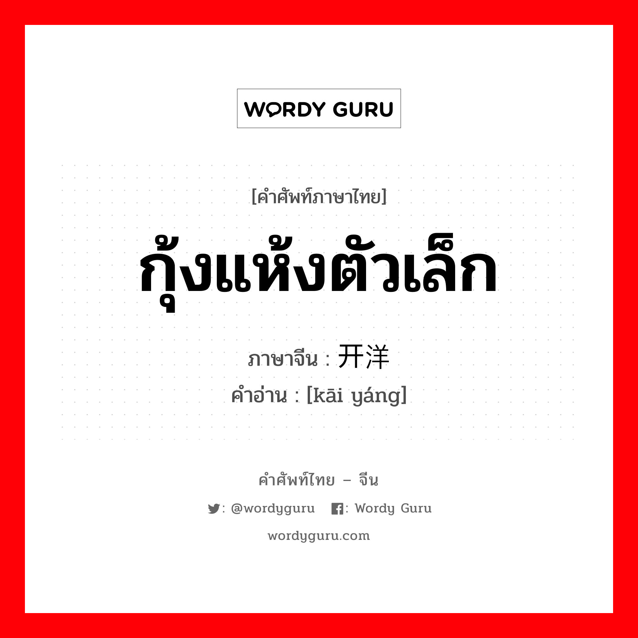 กุ้งแห้งตัวเล็ก ภาษาจีนคืออะไร, คำศัพท์ภาษาไทย - จีน กุ้งแห้งตัวเล็ก ภาษาจีน 开洋 คำอ่าน [kāi yáng]