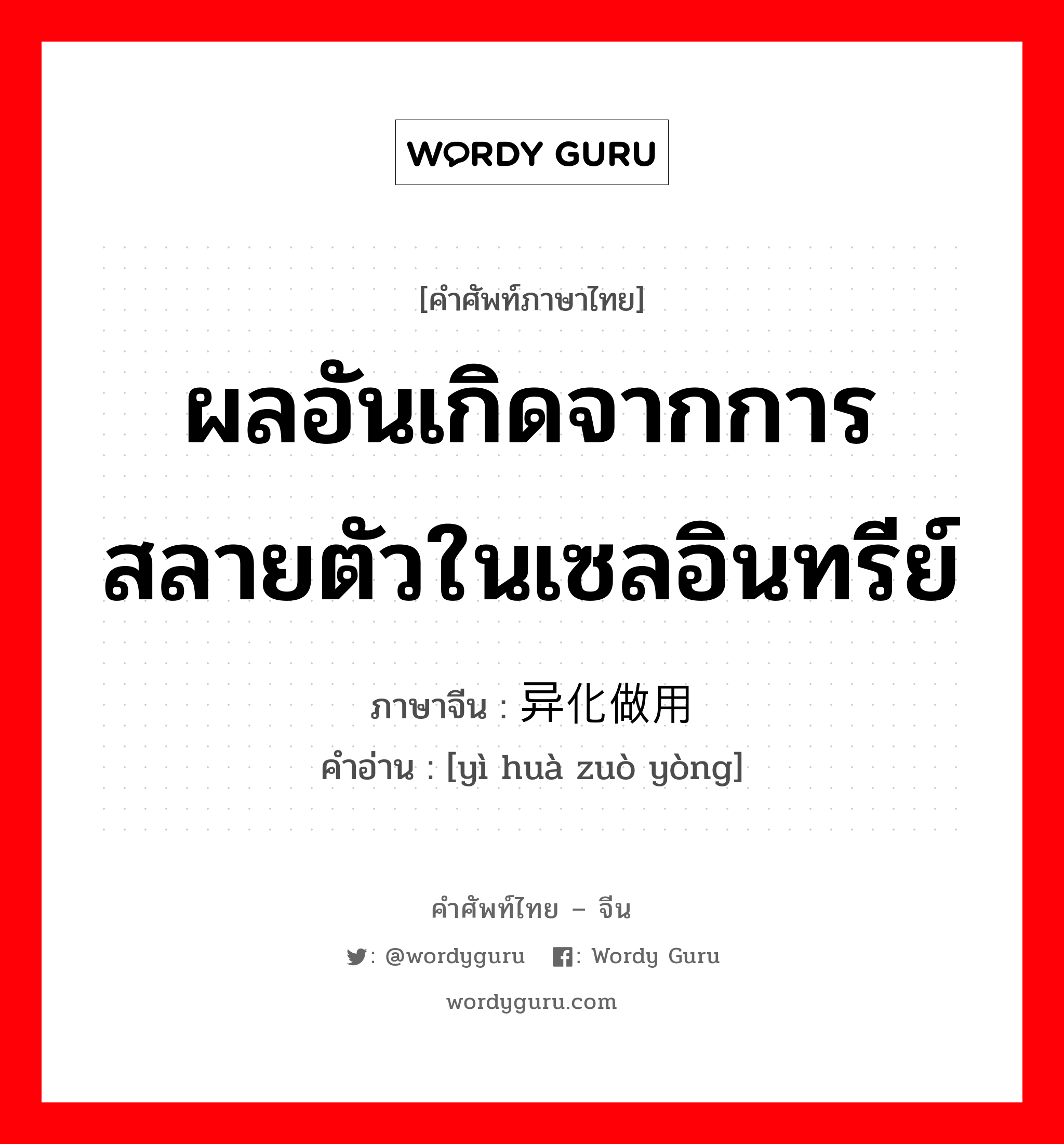 ผลอันเกิดจากการสลายตัวในเซลอินทรีย์ ภาษาจีนคืออะไร, คำศัพท์ภาษาไทย - จีน ผลอันเกิดจากการสลายตัวในเซลอินทรีย์ ภาษาจีน 异化做用 คำอ่าน [yì huà zuò yòng]