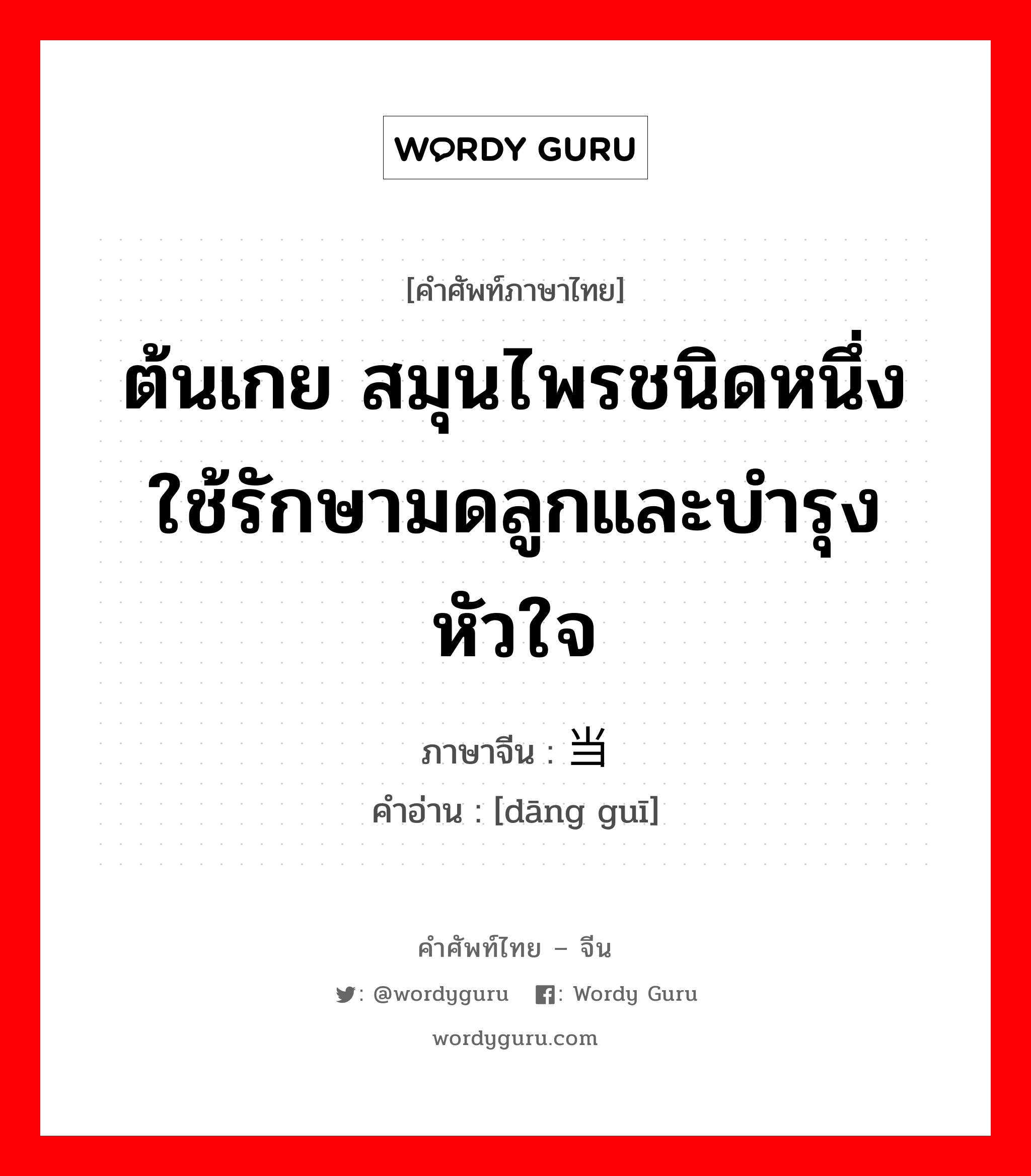 ต้นเกย สมุนไพรชนิดหนึ่งใช้รักษามดลูกและบำรุงหัวใจ ภาษาจีนคืออะไร, คำศัพท์ภาษาไทย - จีน ต้นเกย สมุนไพรชนิดหนึ่งใช้รักษามดลูกและบำรุงหัวใจ ภาษาจีน 当归 คำอ่าน [dāng guī]