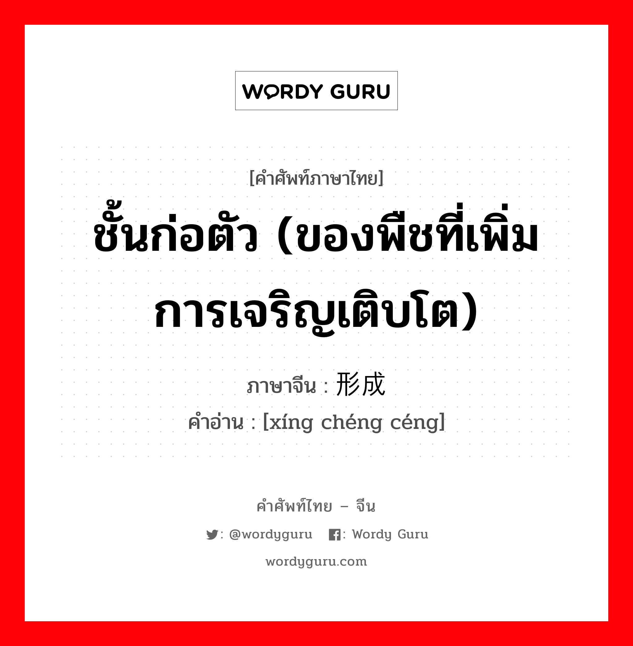 ชั้นก่อตัว (ของพืชที่เพิ่มการเจริญเติบโต) ภาษาจีนคืออะไร, คำศัพท์ภาษาไทย - จีน ชั้นก่อตัว (ของพืชที่เพิ่มการเจริญเติบโต) ภาษาจีน 形成层 คำอ่าน [xíng chéng céng]