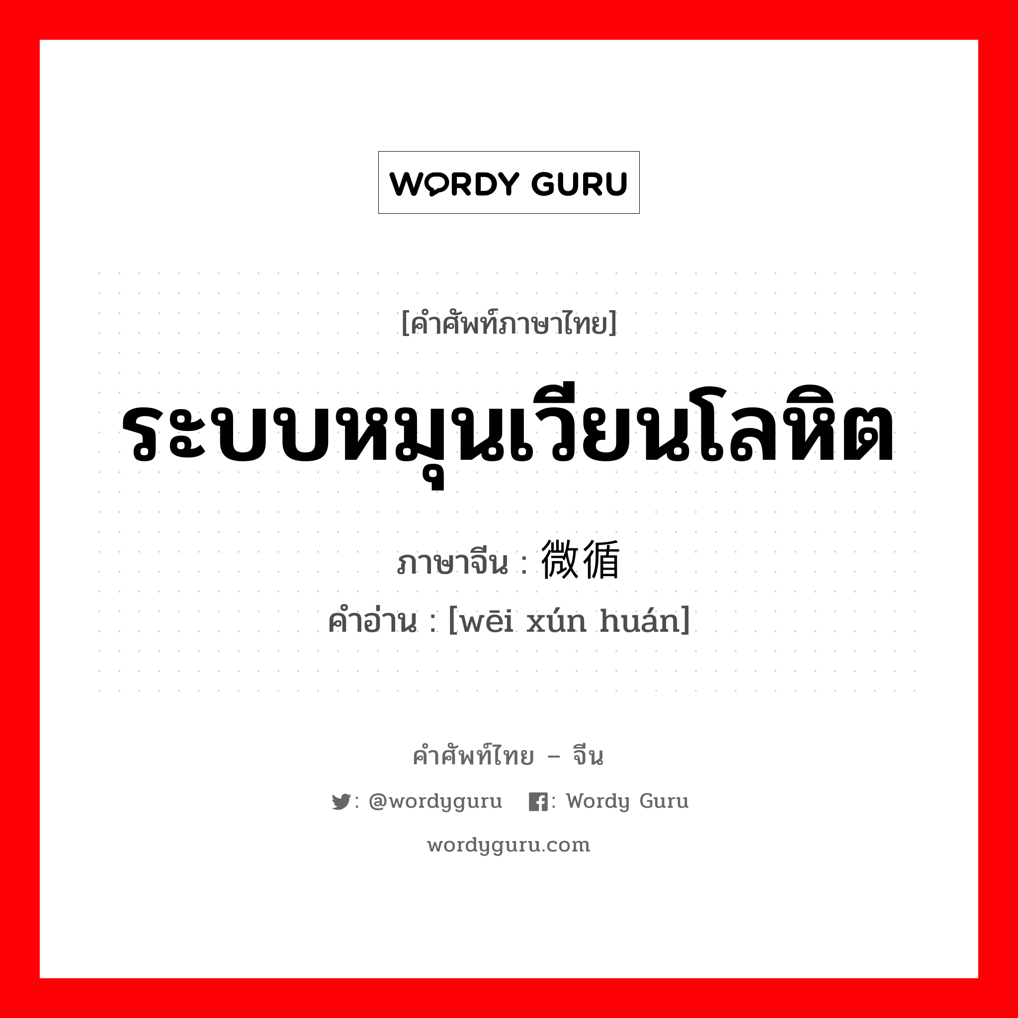 ระบบหมุนเวียนโลหิต ภาษาจีนคืออะไร, คำศัพท์ภาษาไทย - จีน ระบบหมุนเวียนโลหิต ภาษาจีน 微循环 คำอ่าน [wēi xún huán]