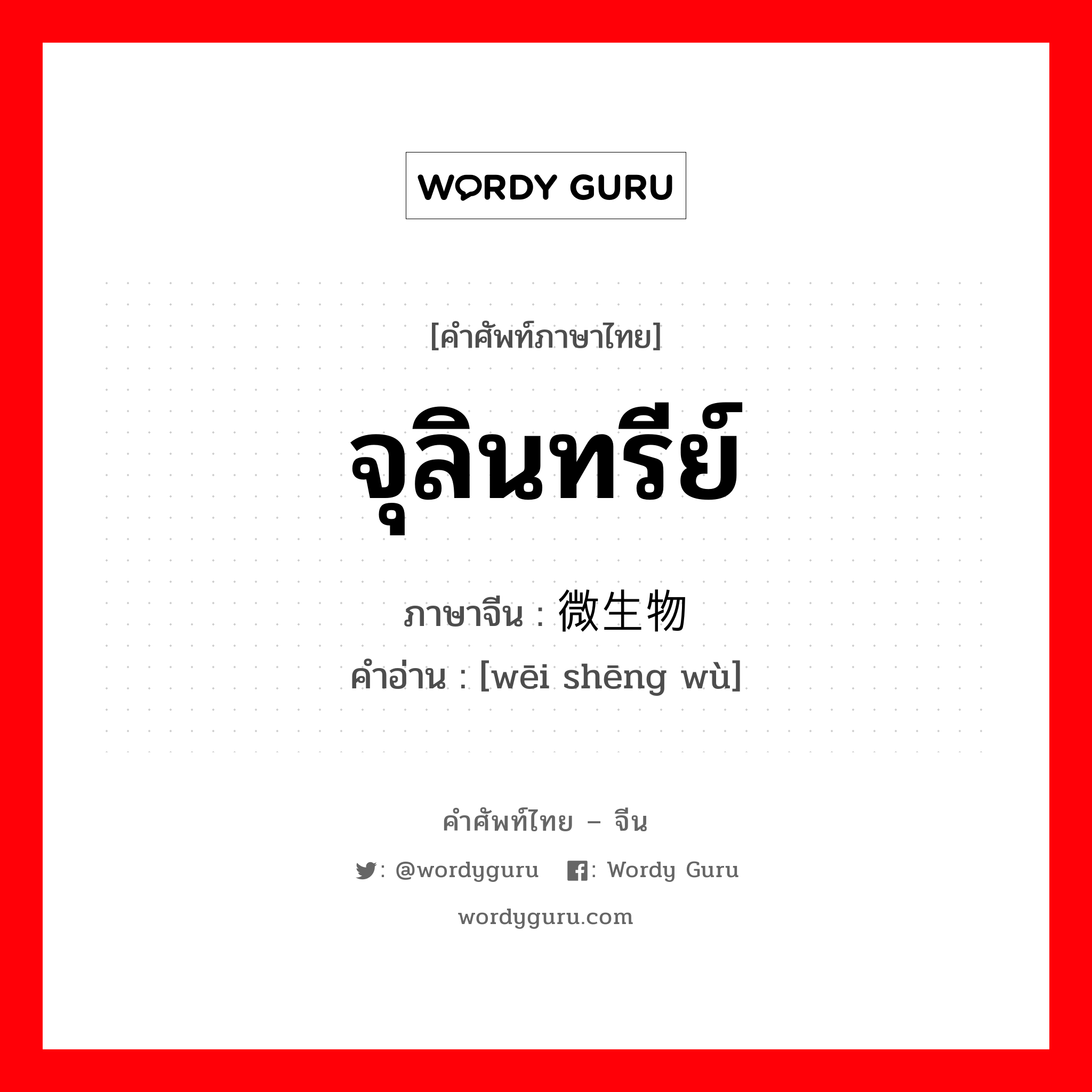 จุลินทรีย์ ภาษาจีนคืออะไร, คำศัพท์ภาษาไทย - จีน จุลินทรีย์ ภาษาจีน 微生物 คำอ่าน [wēi shēng wù]