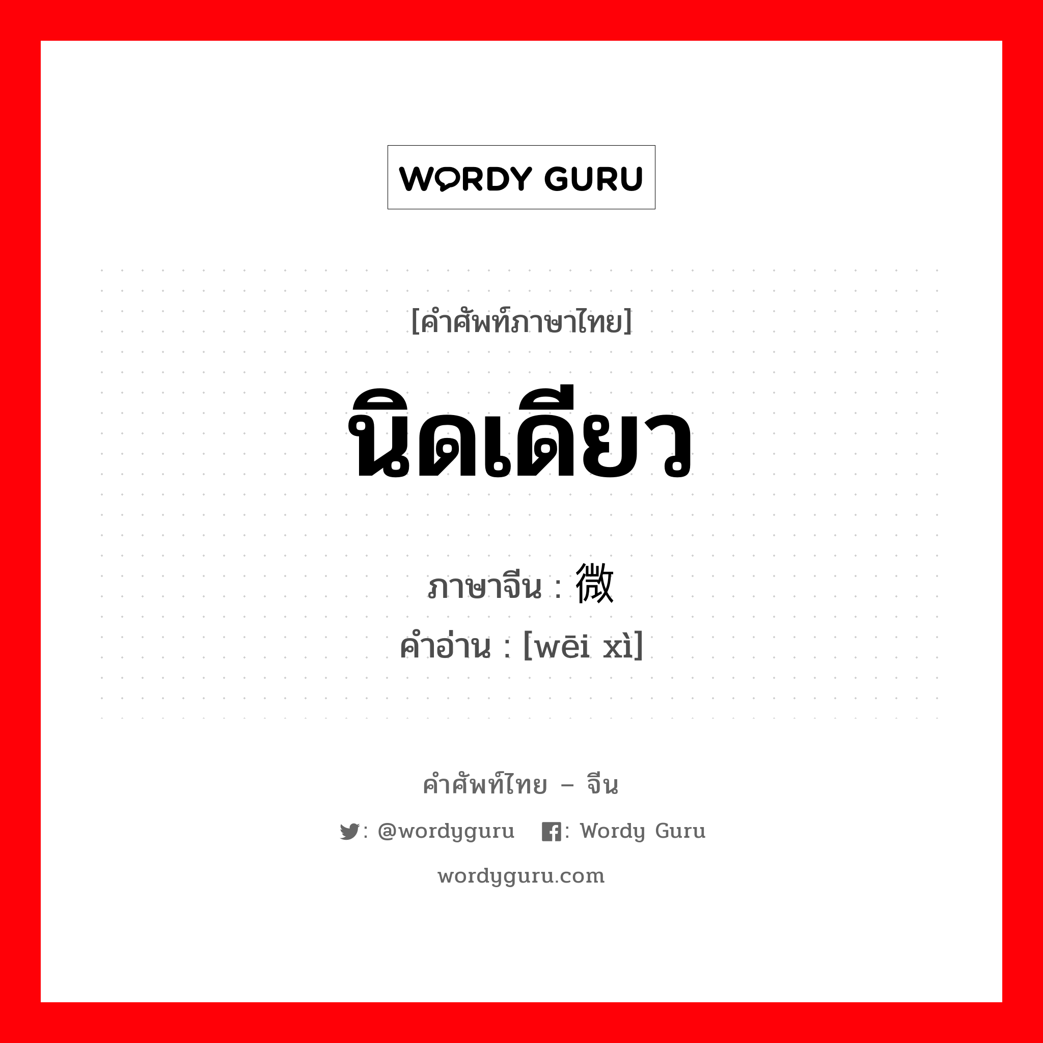 นิดเดียว ภาษาจีนคืออะไร, คำศัพท์ภาษาไทย - จีน นิดเดียว ภาษาจีน 微细 คำอ่าน [wēi xì]