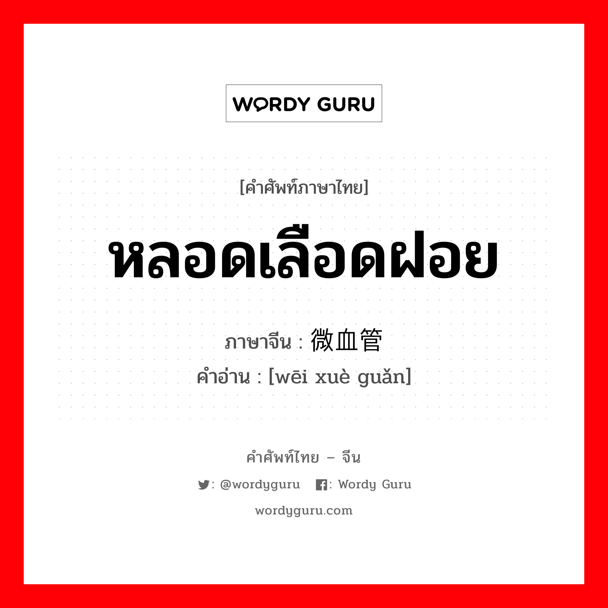 หลอดเลือดฝอย ภาษาจีนคืออะไร, คำศัพท์ภาษาไทย - จีน หลอดเลือดฝอย ภาษาจีน 微血管 คำอ่าน [wēi xuè guǎn]