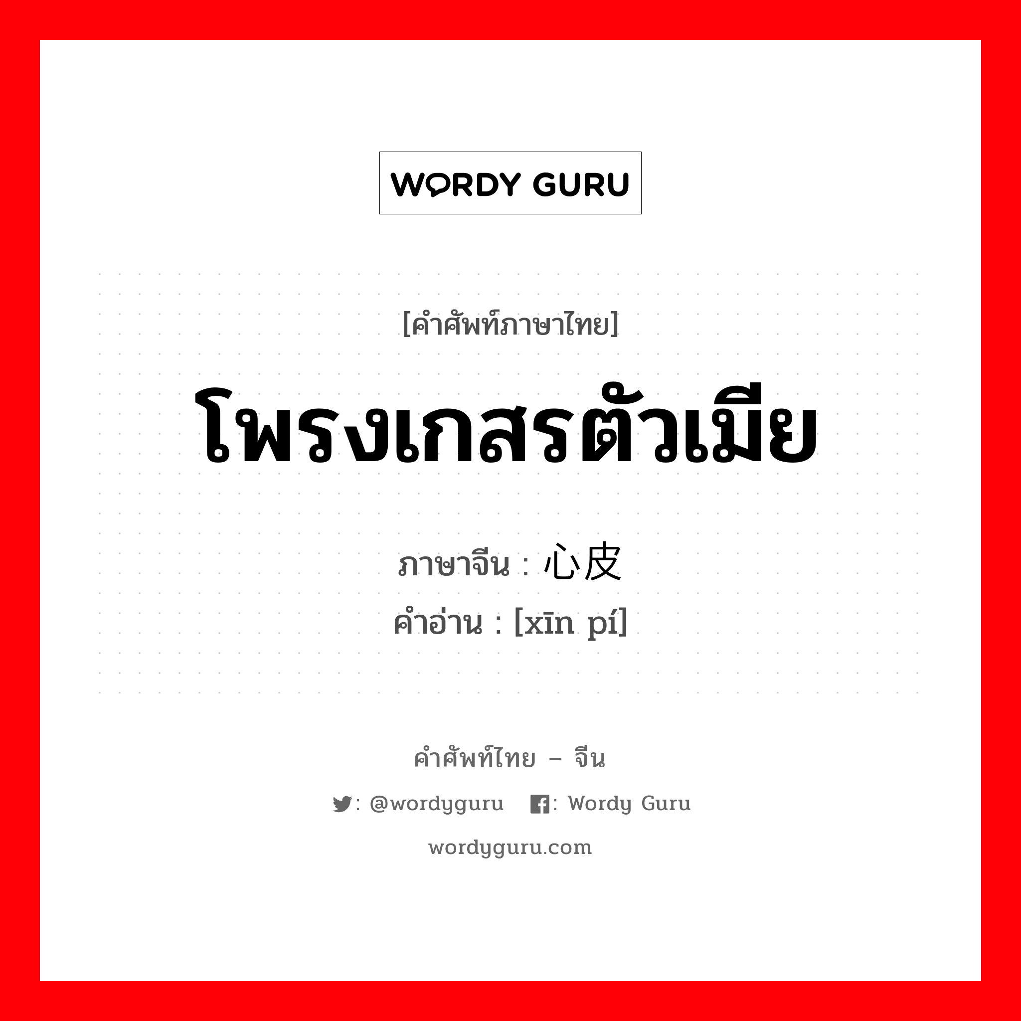 โพรงเกสรตัวเมีย ภาษาจีนคืออะไร, คำศัพท์ภาษาไทย - จีน โพรงเกสรตัวเมีย ภาษาจีน 心皮 คำอ่าน [xīn pí]