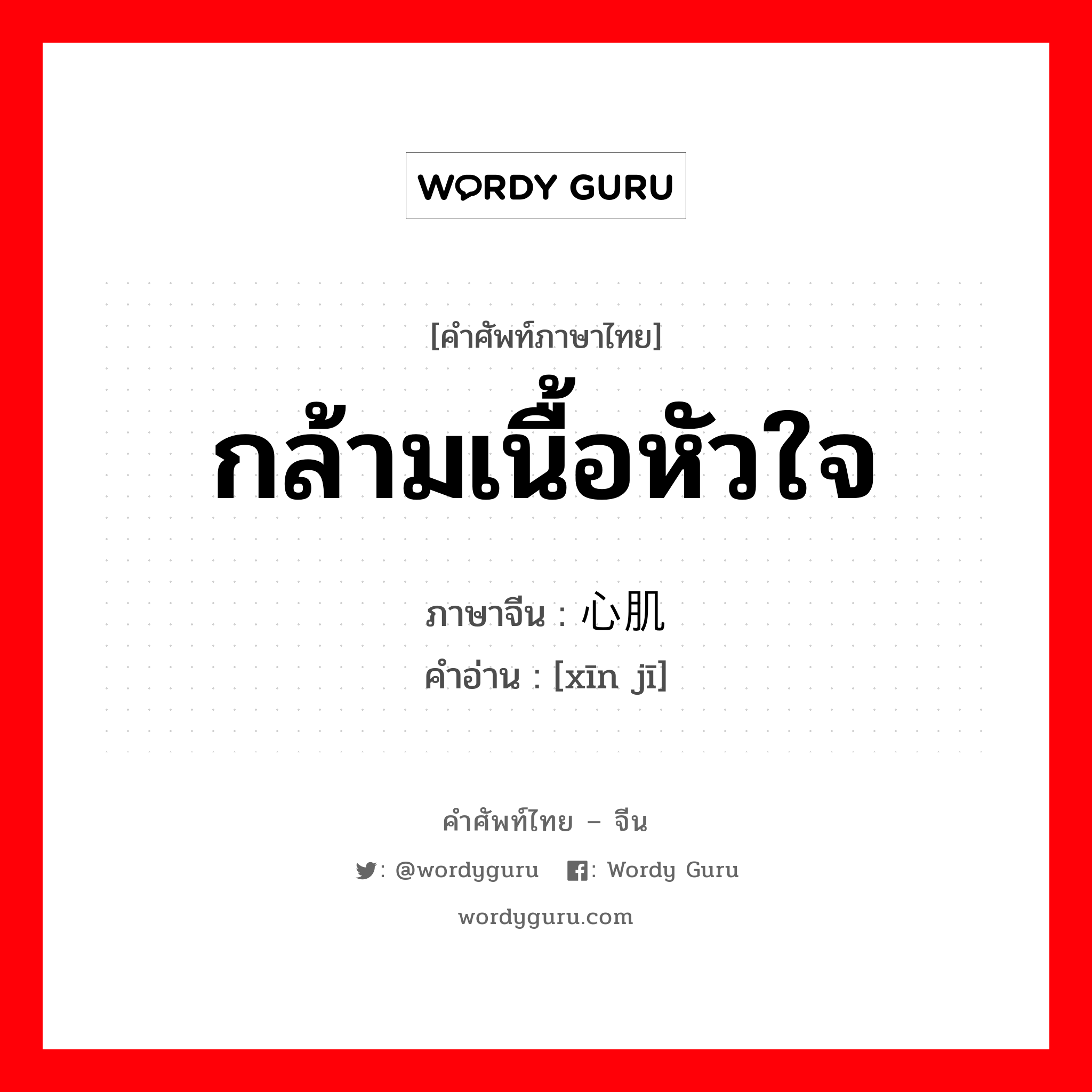 กล้ามเนื้อหัวใจ ภาษาจีนคืออะไร, คำศัพท์ภาษาไทย - จีน กล้ามเนื้อหัวใจ ภาษาจีน 心肌 คำอ่าน [xīn jī]