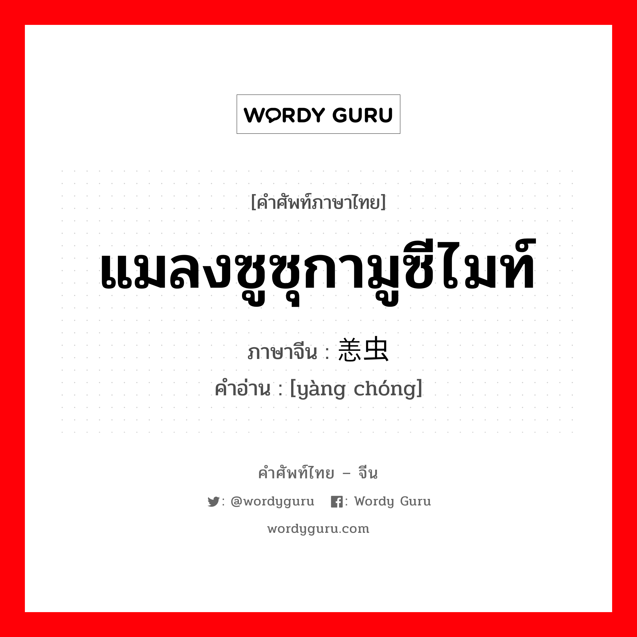 แมลงซูซุกามูซีไมท์ ภาษาจีนคืออะไร, คำศัพท์ภาษาไทย - จีน แมลงซูซุกามูซีไมท์ ภาษาจีน 恙虫 คำอ่าน [yàng chóng]